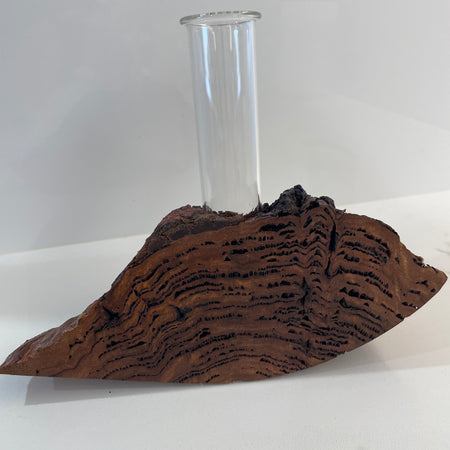 Bud vase or Propagation tube