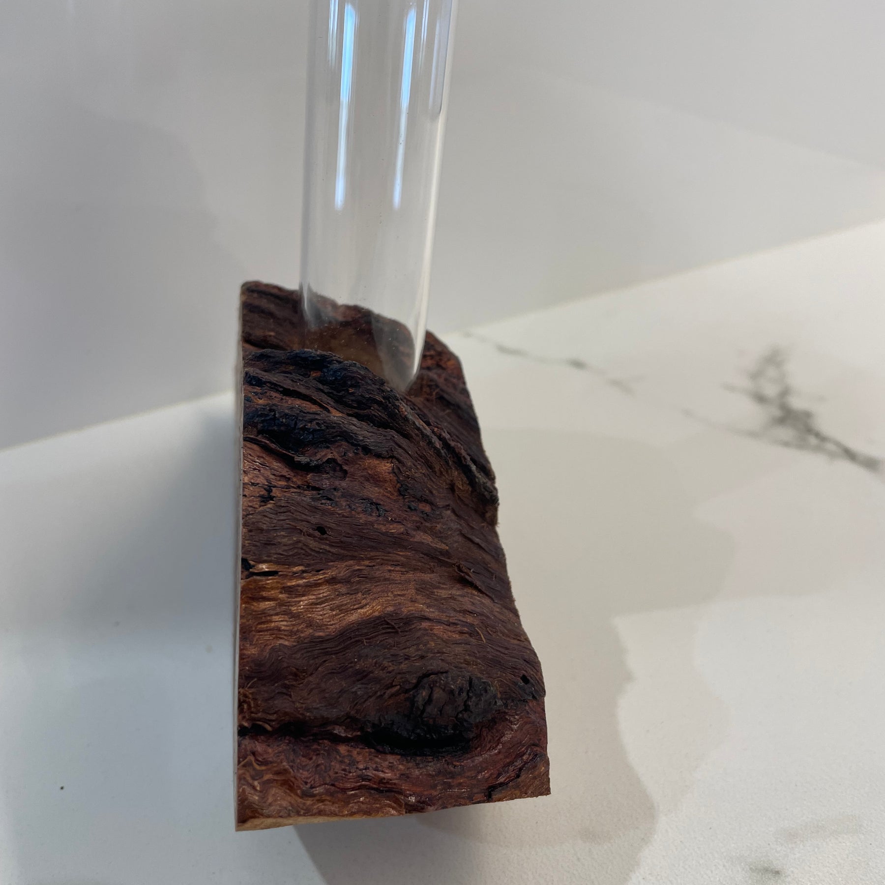 Bud vase or Propagation tube