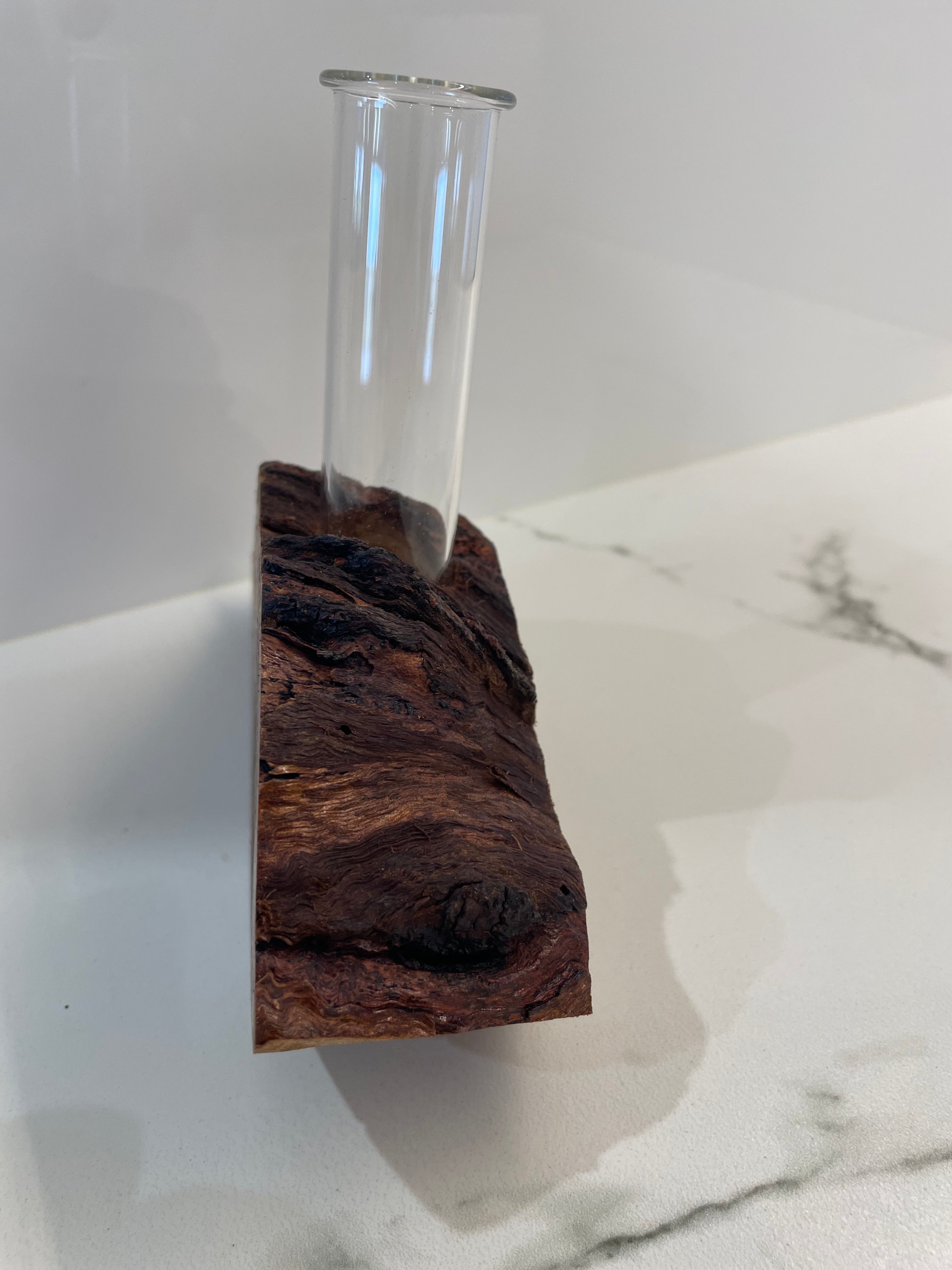 Bud vase or Propagation tube