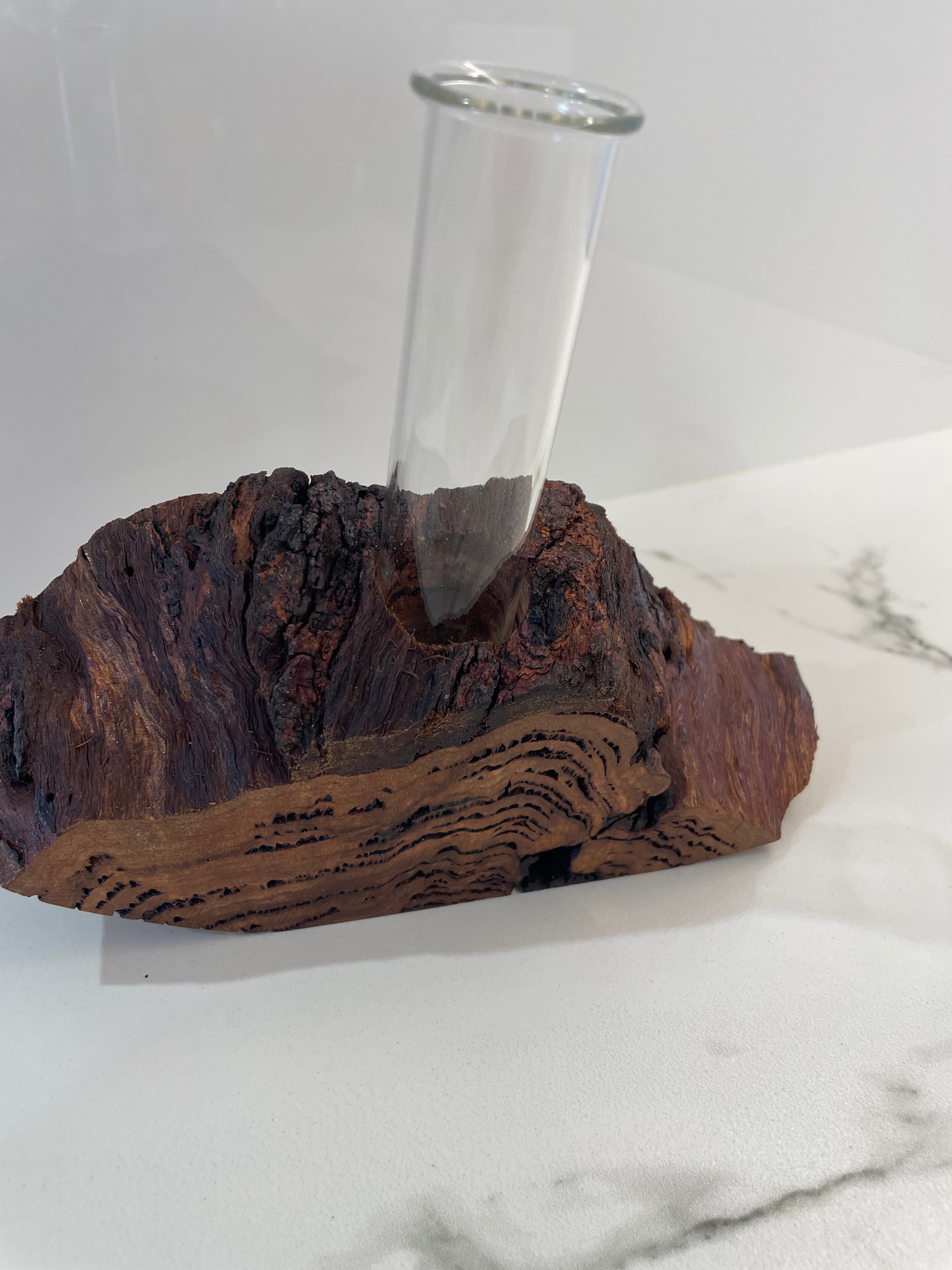 Bud vase or Propagation tube