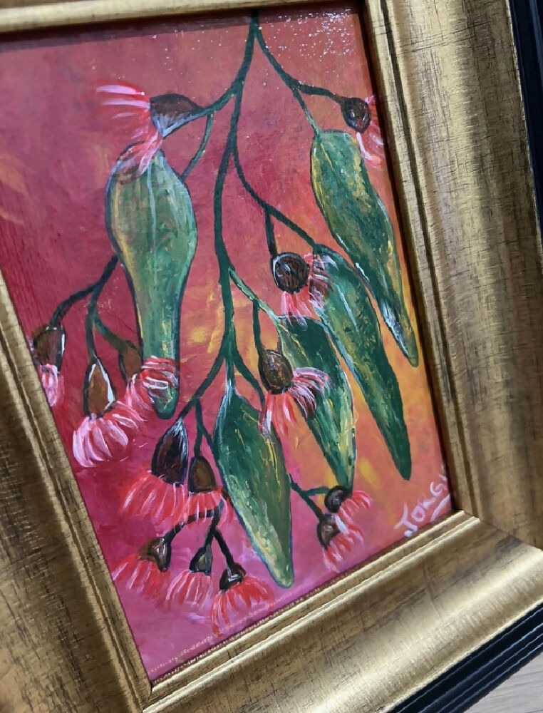 framed acrylic botanical gum nut blossom