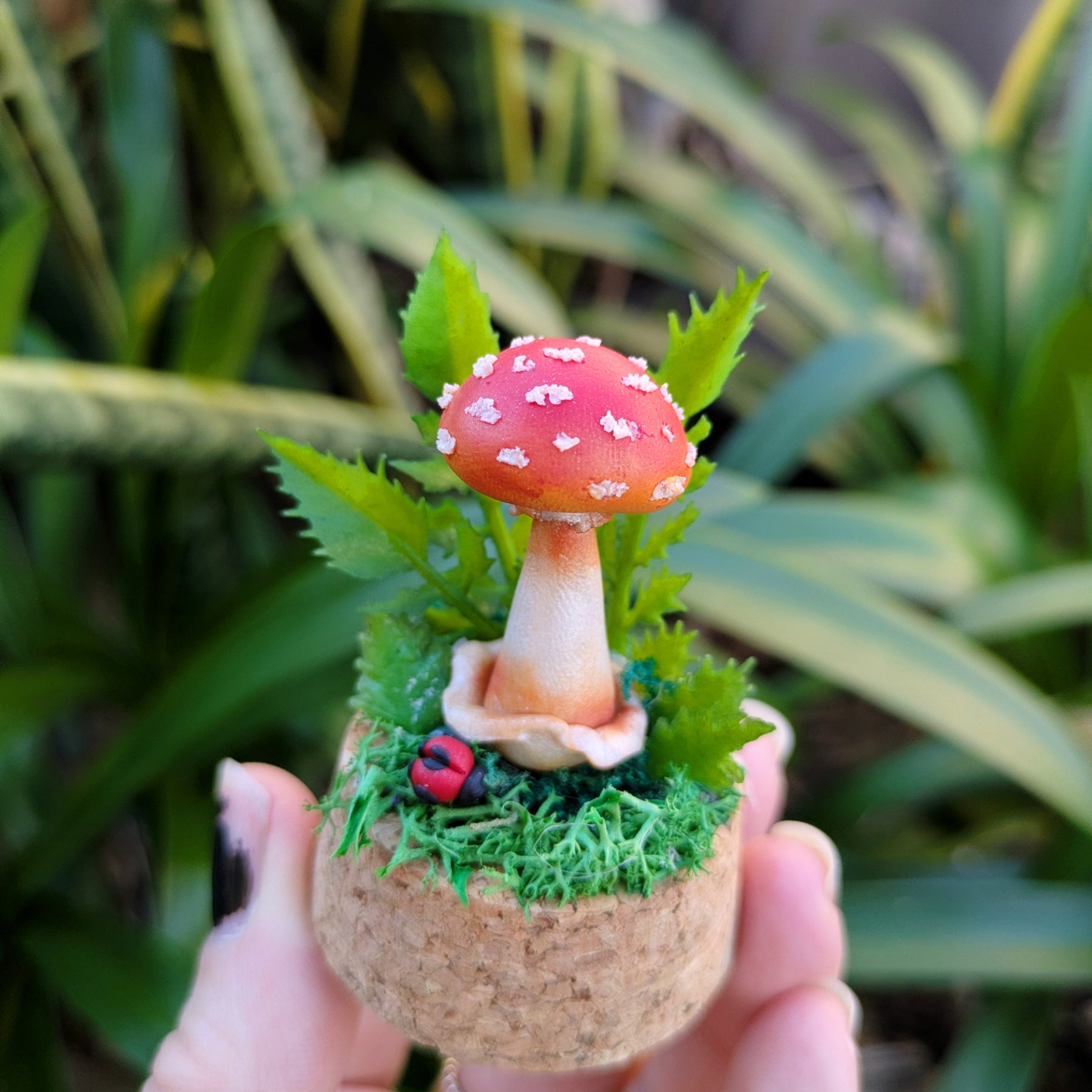 Mini Enchanted Amanita Mushroom Dome with a Ladybug