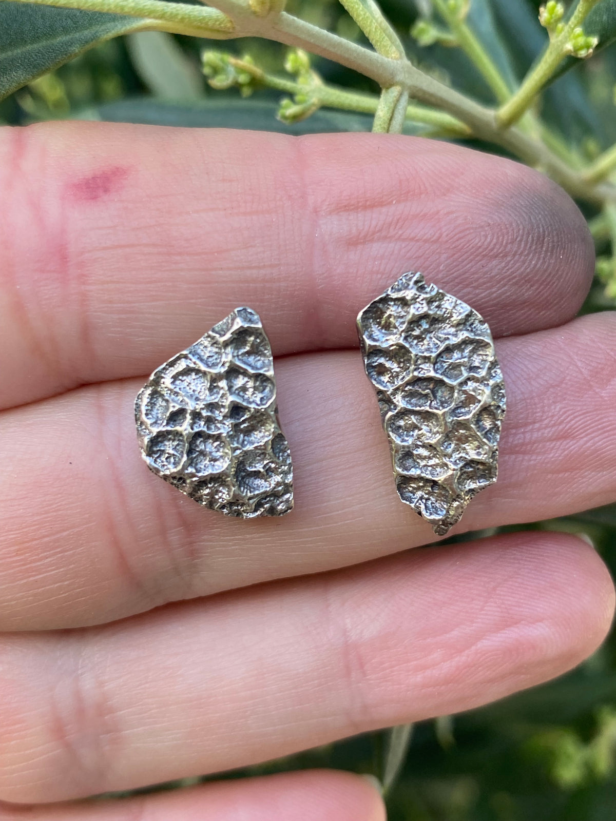 Rockpool Coral Impressions Stud Earrings, Sterling Silver
