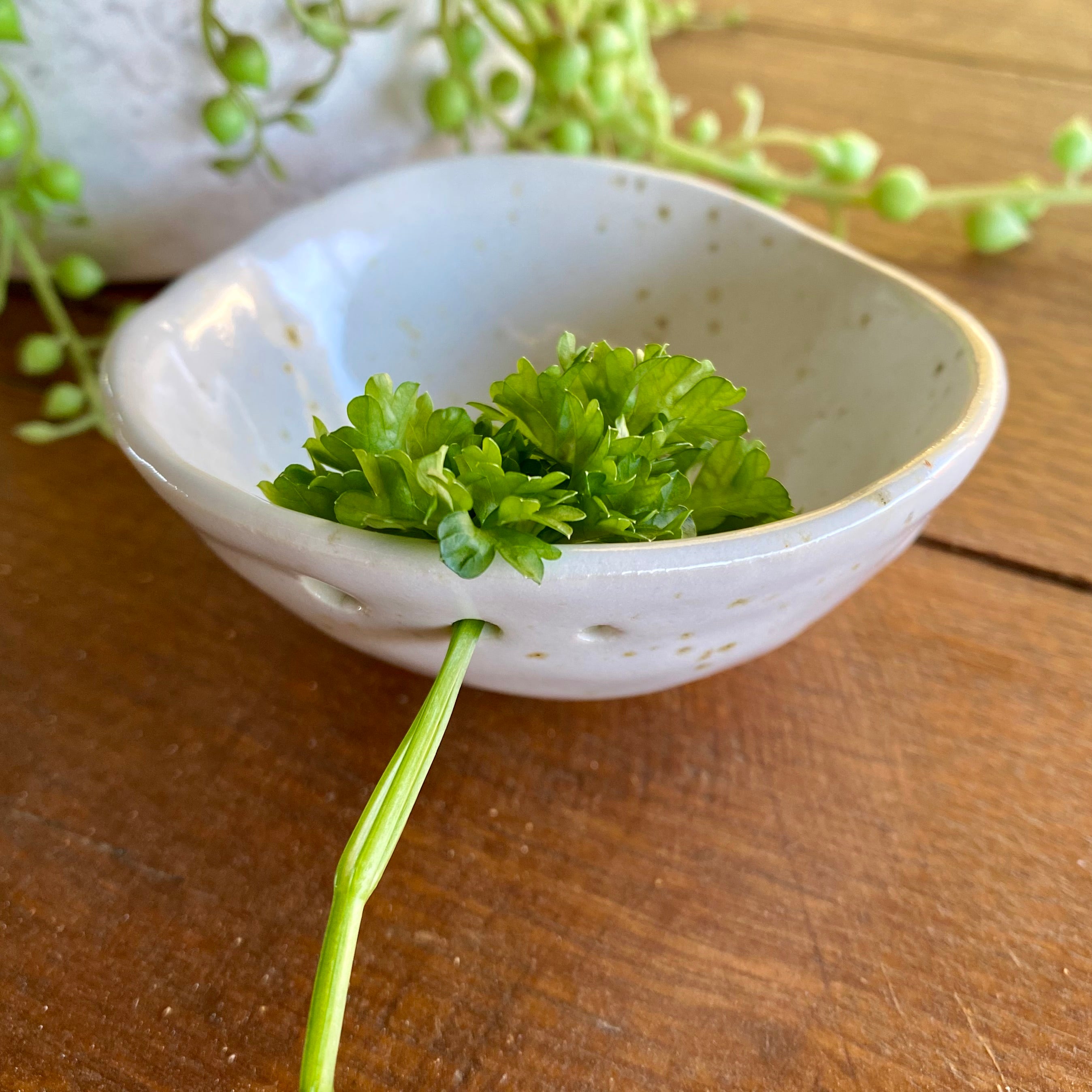 Handmade Ceramic Herb Stripper/Handmade Pottery