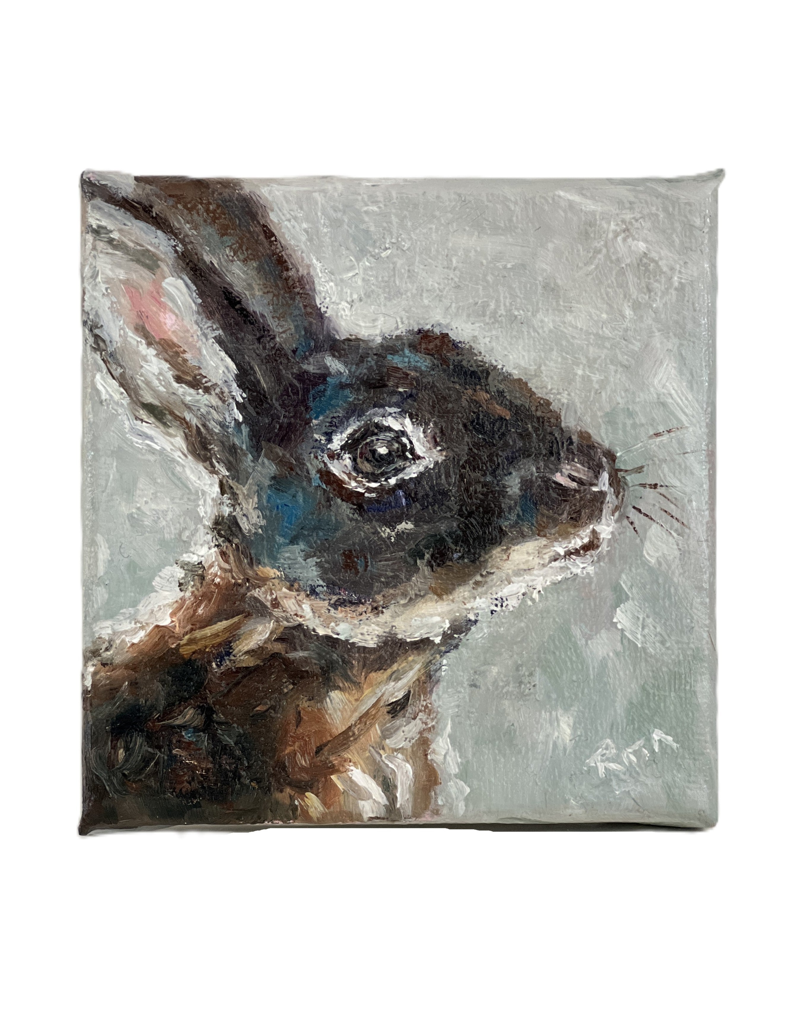 Little Black Rabbit – Original Miniature Bunny Painting