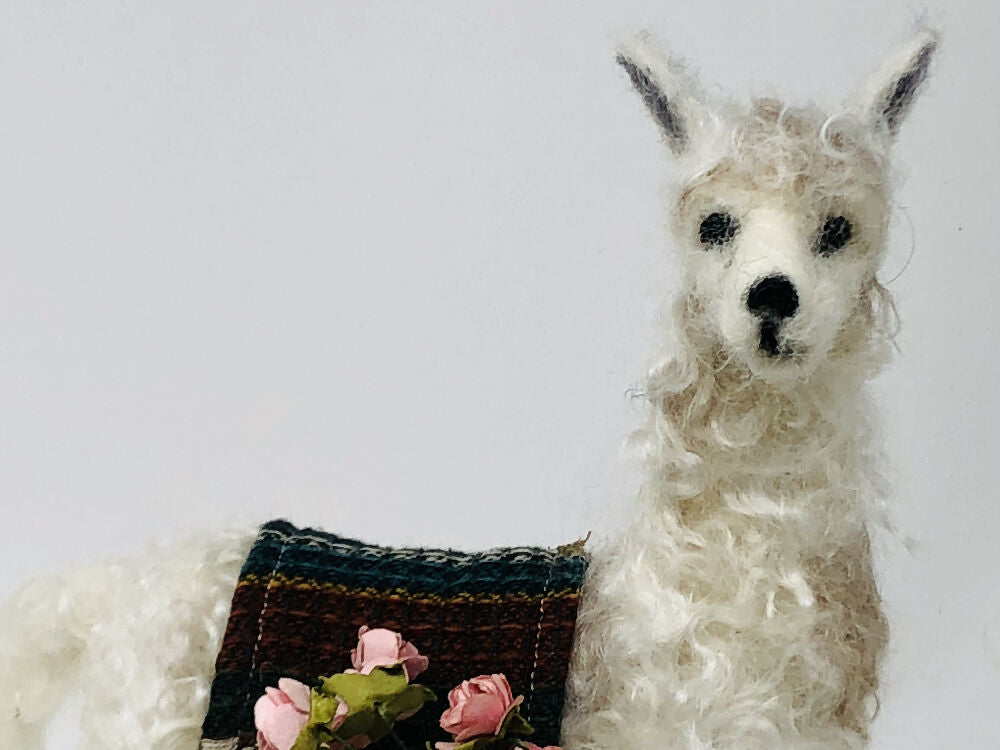llama