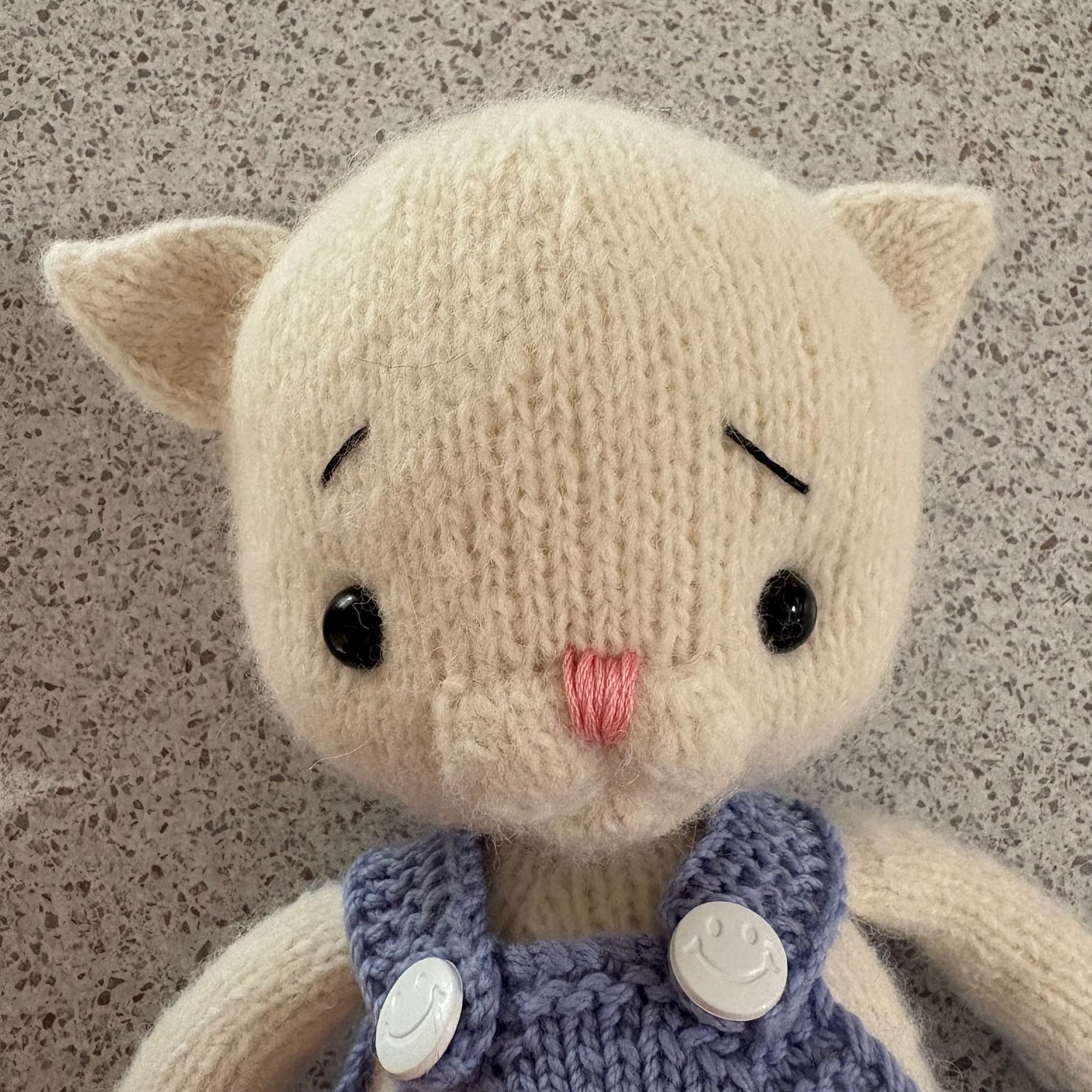 Fluffy cat in blue overalls