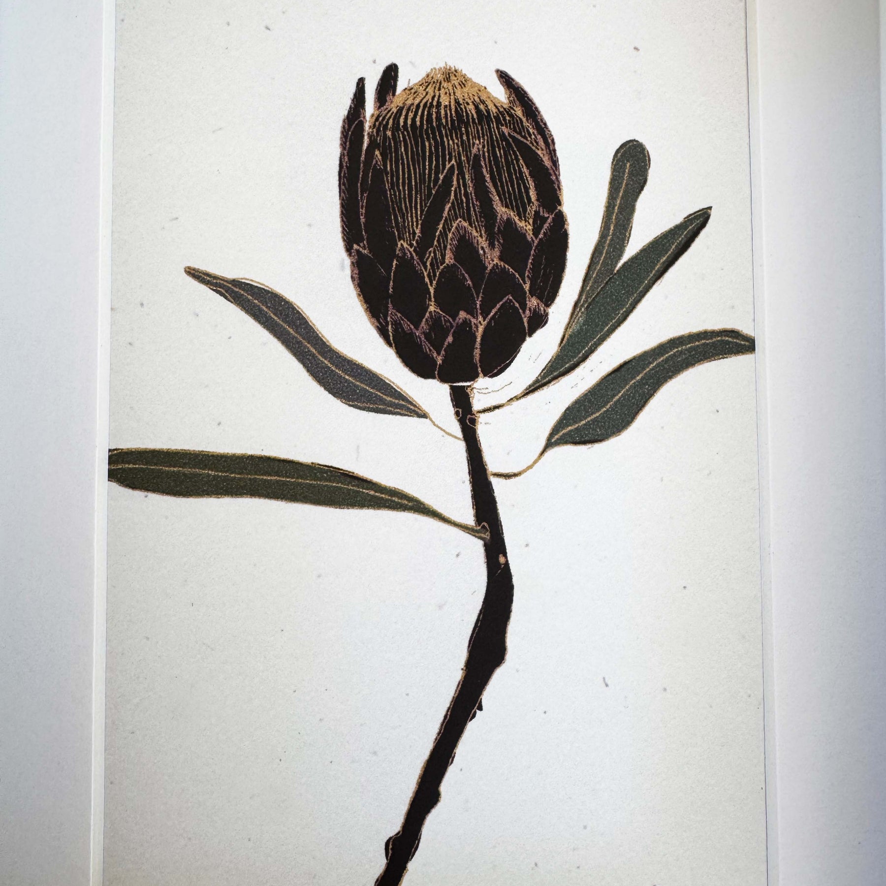 Protea print - black frame with inset included (13 x 18cm)