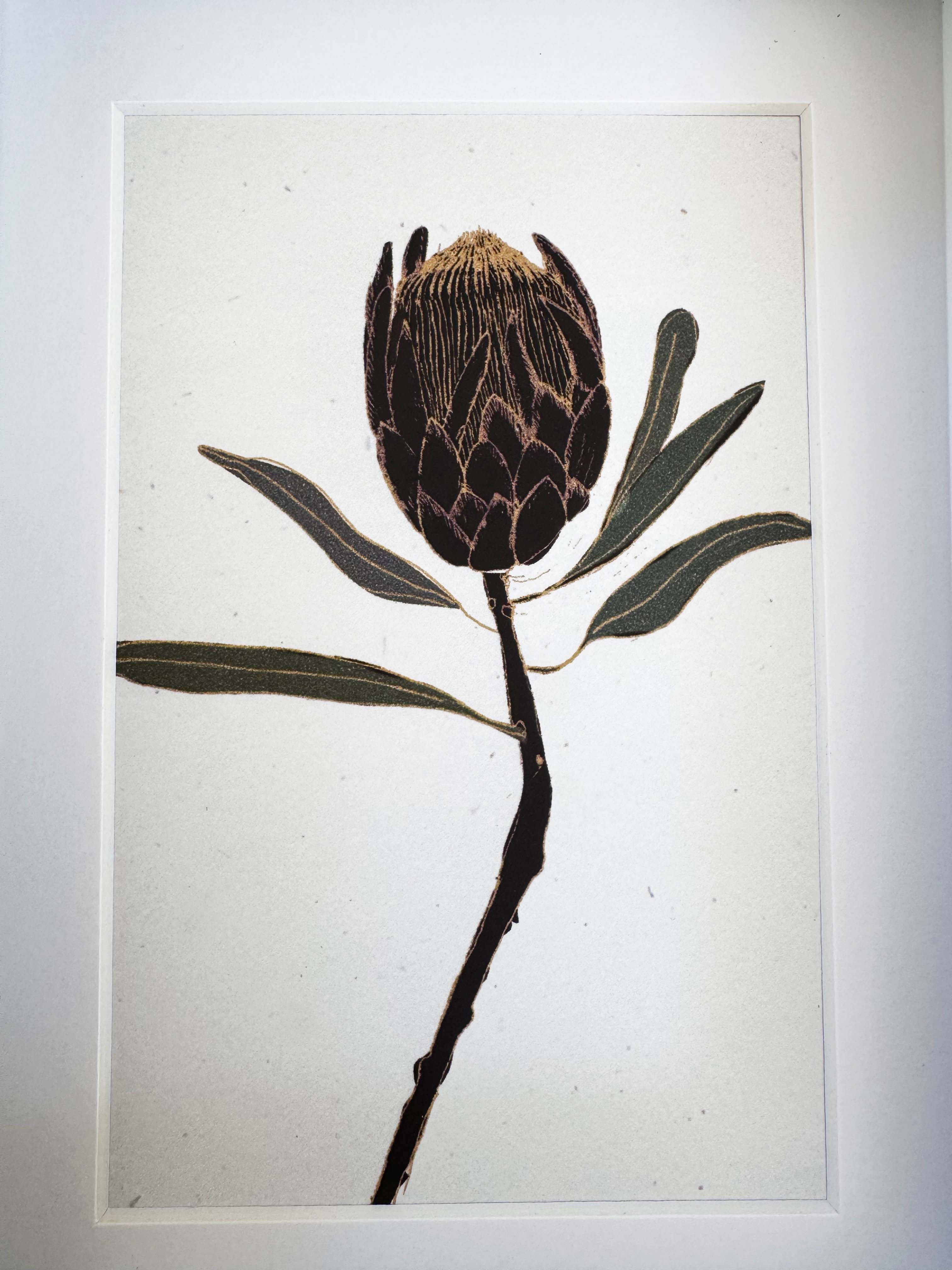 Protea print - black frame with inset included (13 x 18cm)