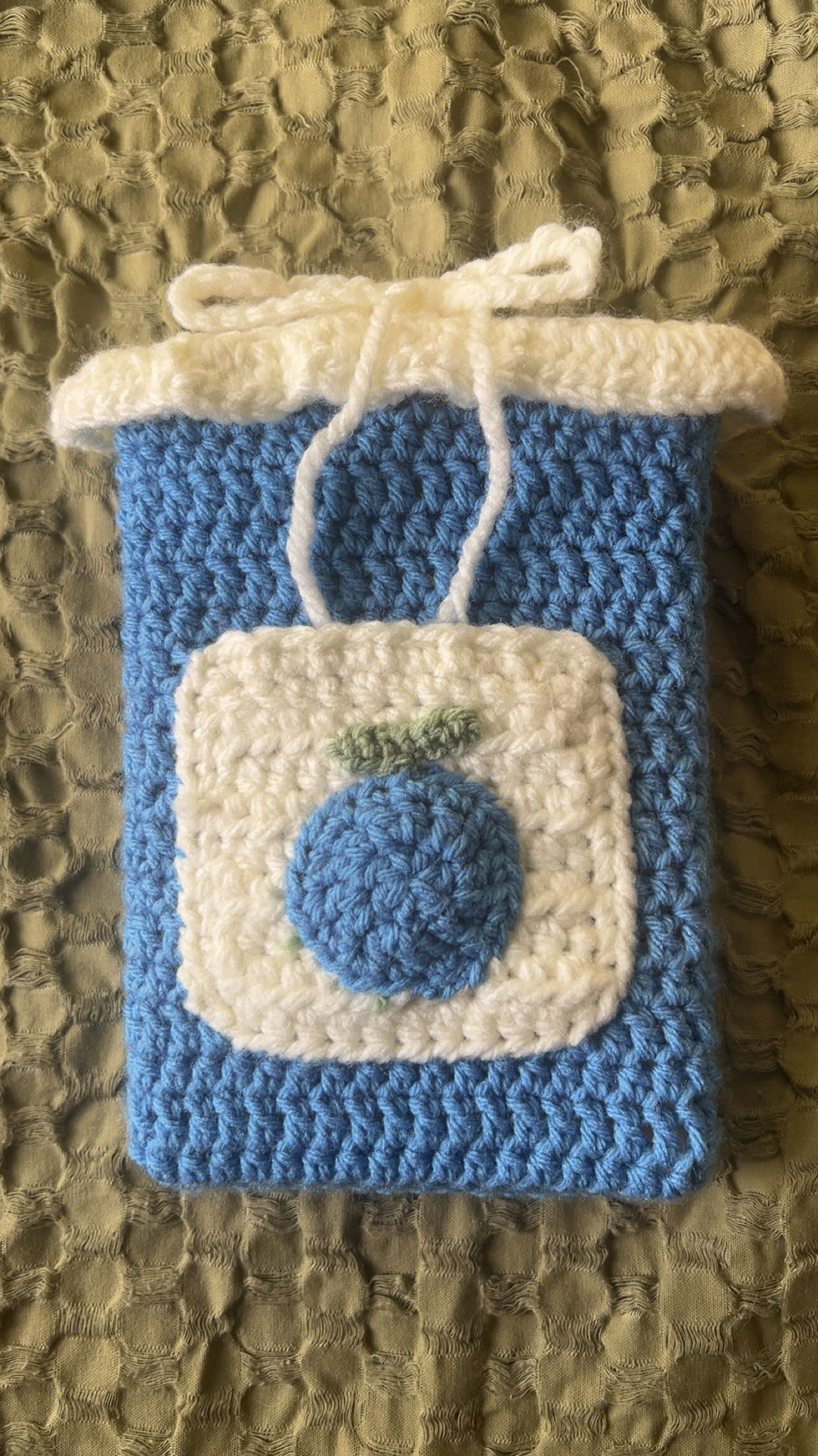Crochet Blueberry Book Sleeve