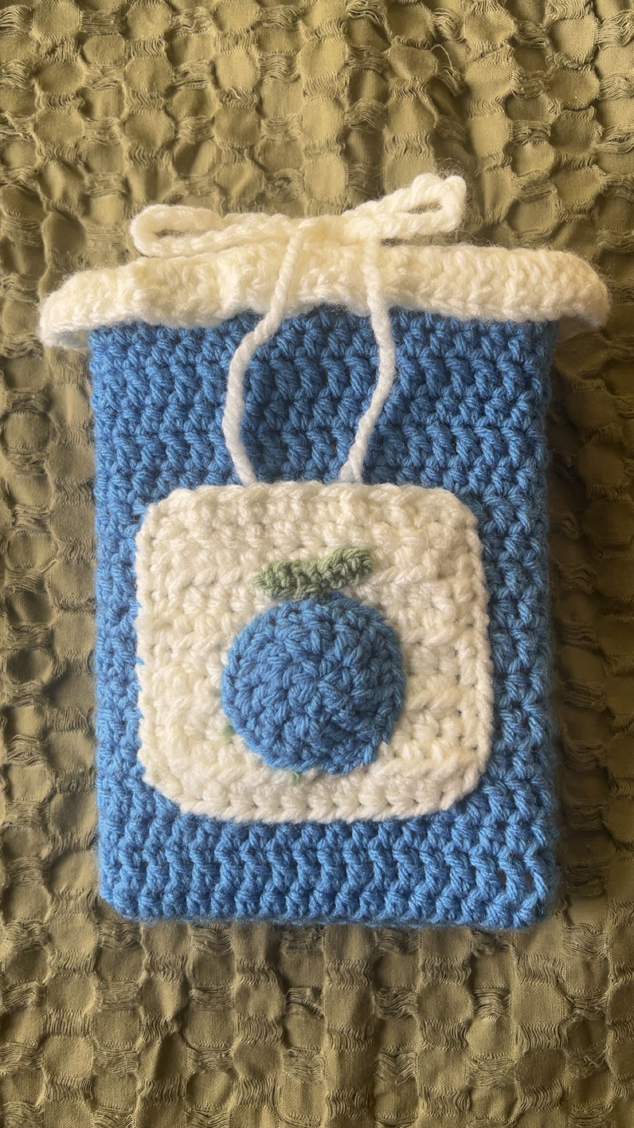 Crochet Blueberry Book Sleeve