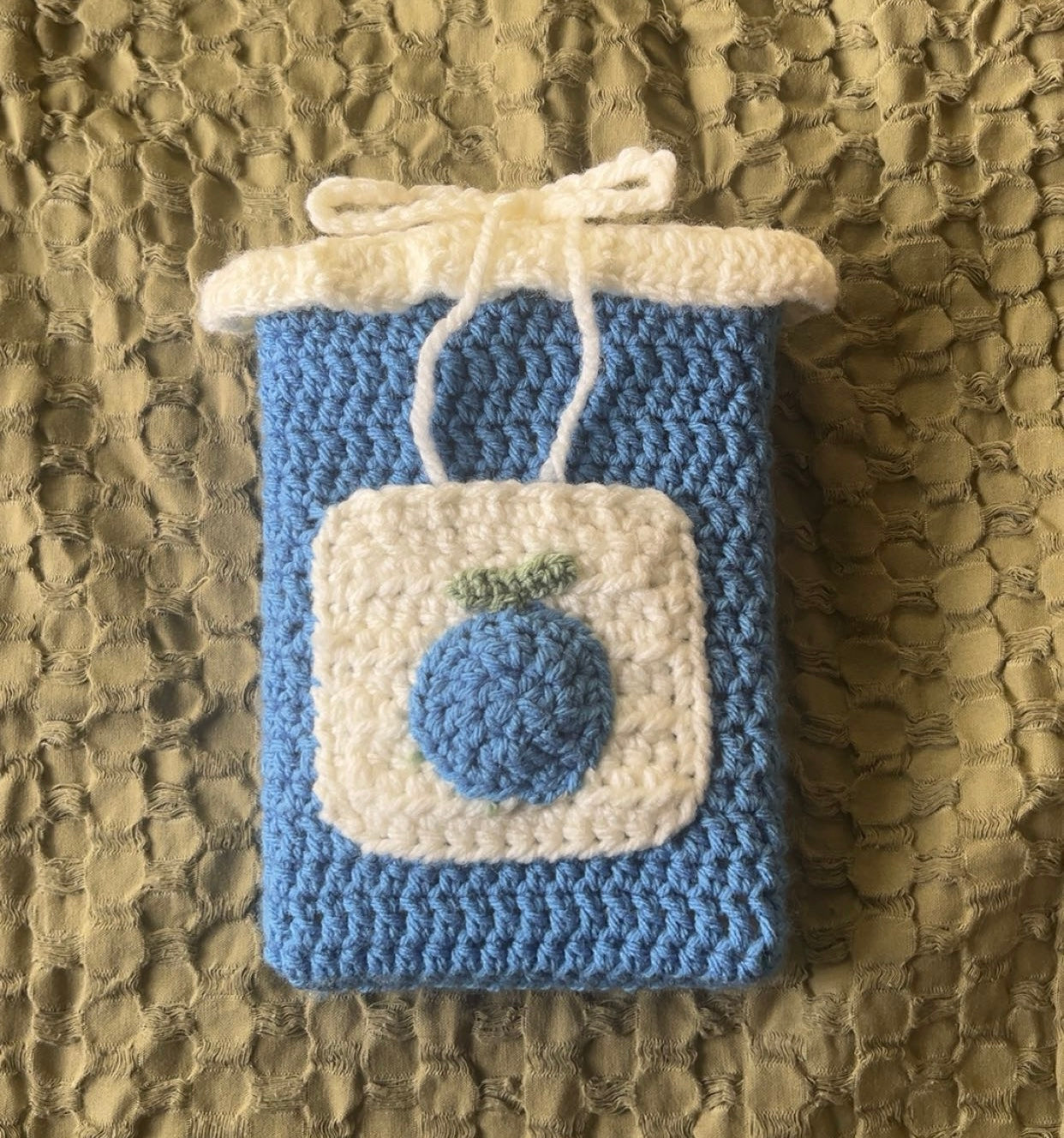 Crochet Blueberry Book Sleeve