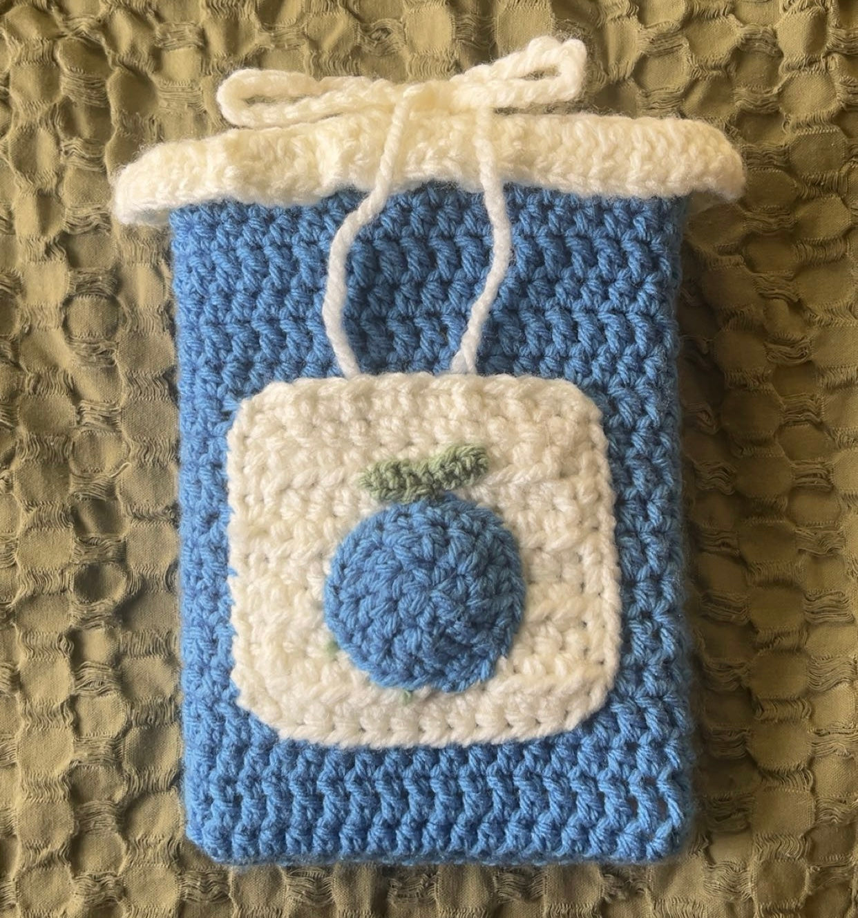 Crochet Blueberry Book Sleeve