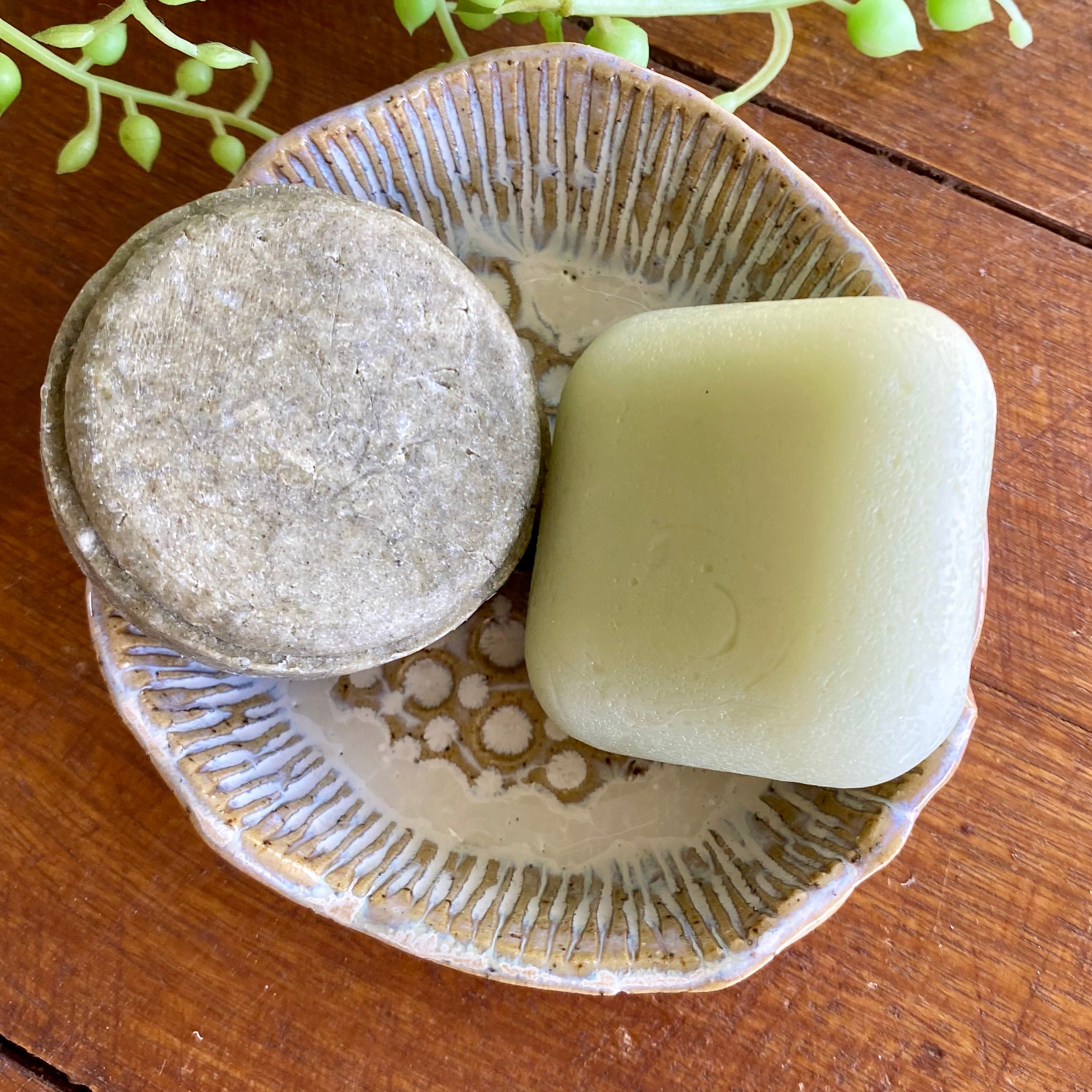 Organic Handcrafted Shampoo/ConditionerBar Holder/HandmadePottery