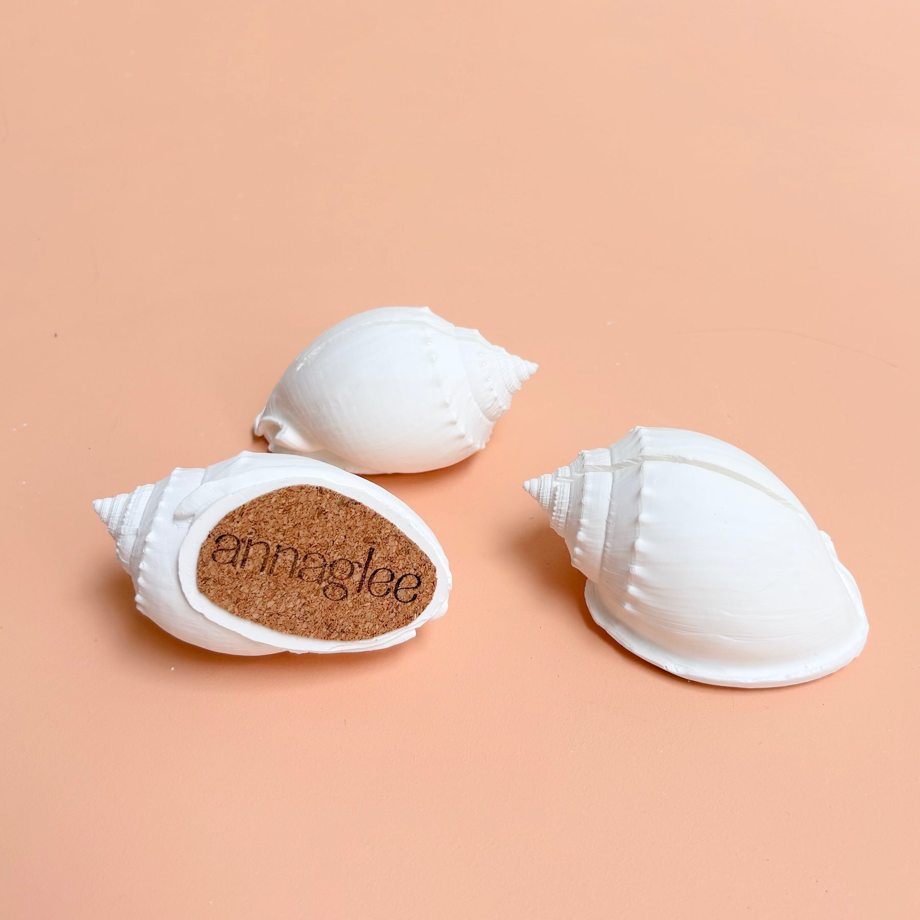eco resin sea shell photo display