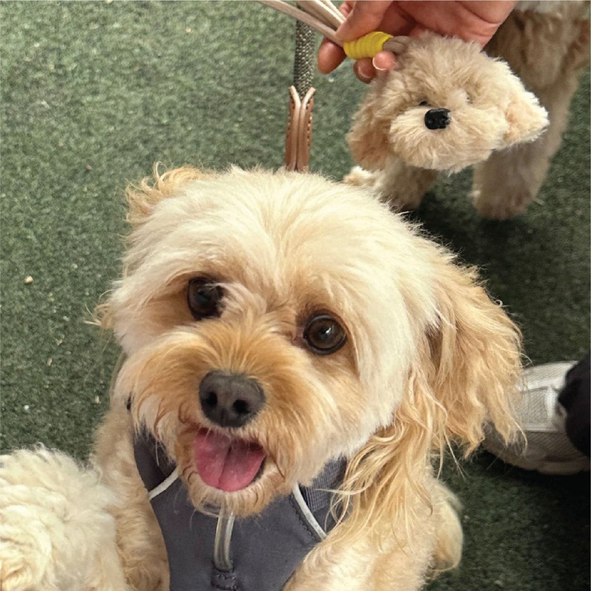 Custom Pet Head Bag Charm from Photo, Handmade Dog/Rabbit/Cat Plush Keychain, Soft & Fluffy Pet Portrait, Personalised Gift for Pet Lovers, Memorial Gift