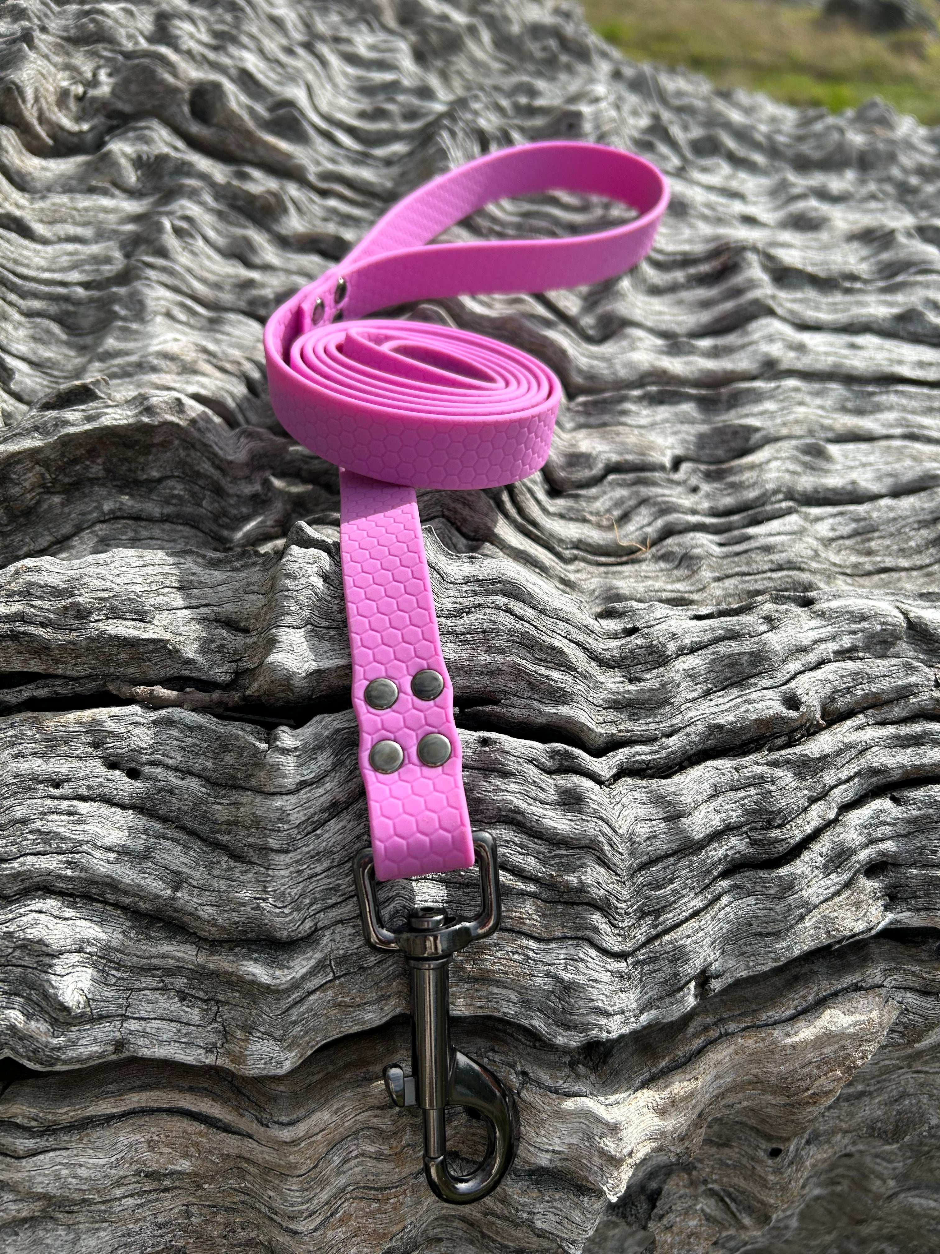 DOG LEAD LEASH WATERPROOF STRONG BRIGHT DURABLE