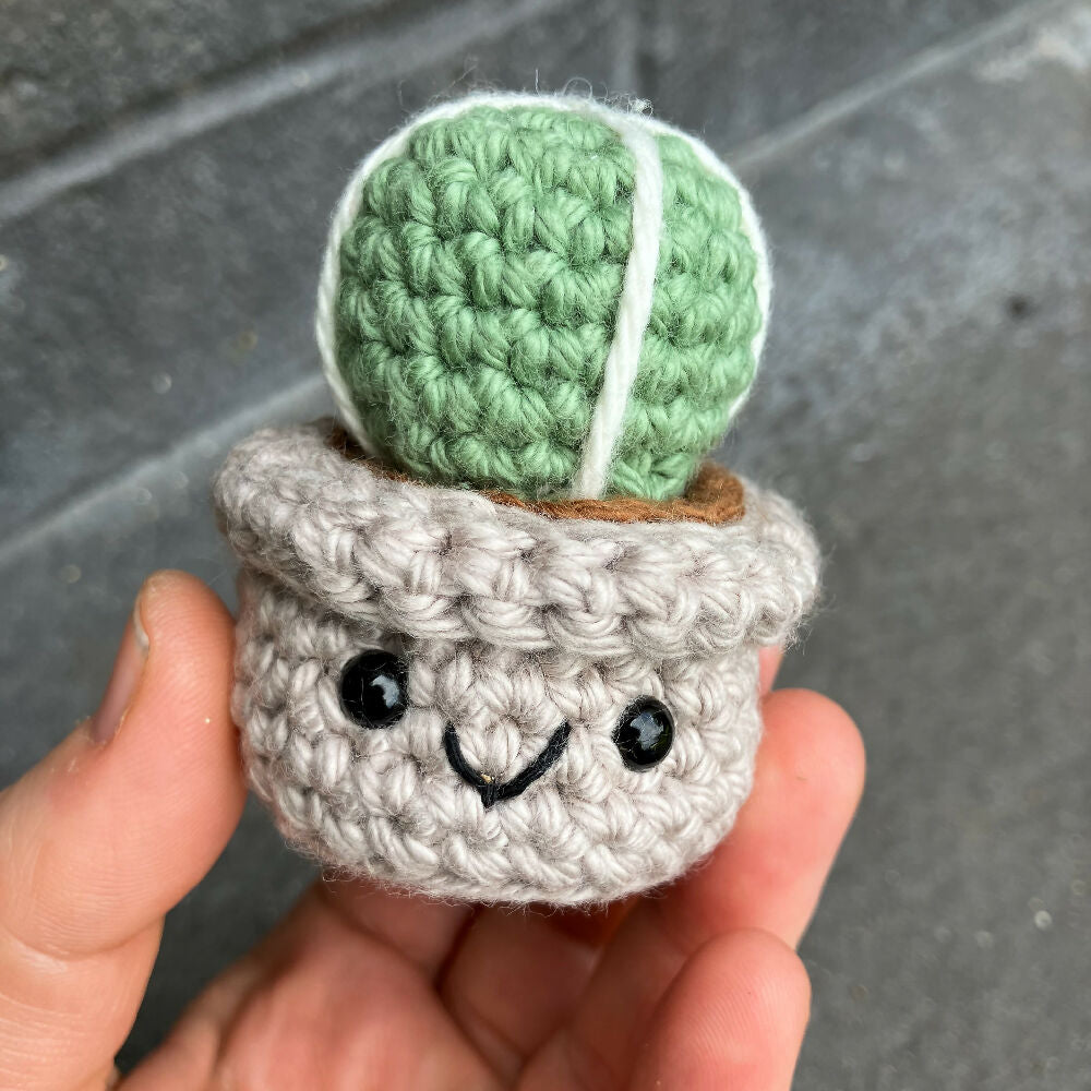 Crochet Ball Cactus Mini Buddy