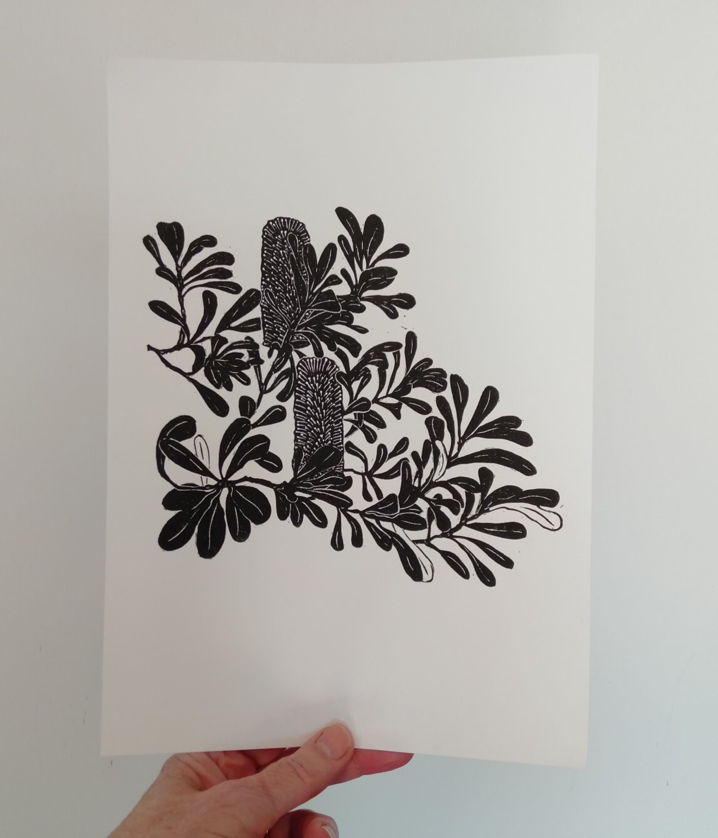 Original linocut print of Australian banksia