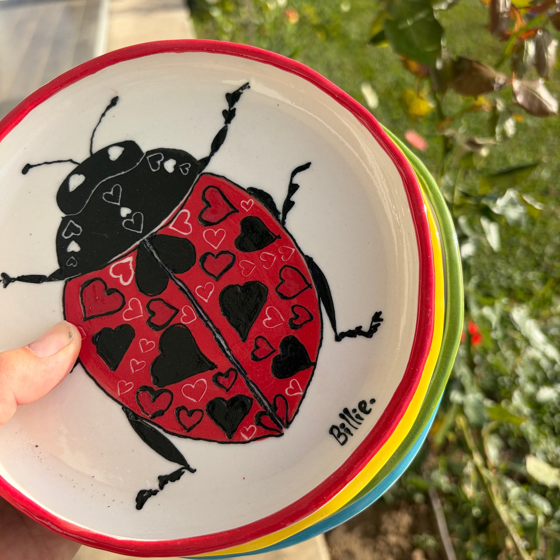 Insect plate set - For Angela