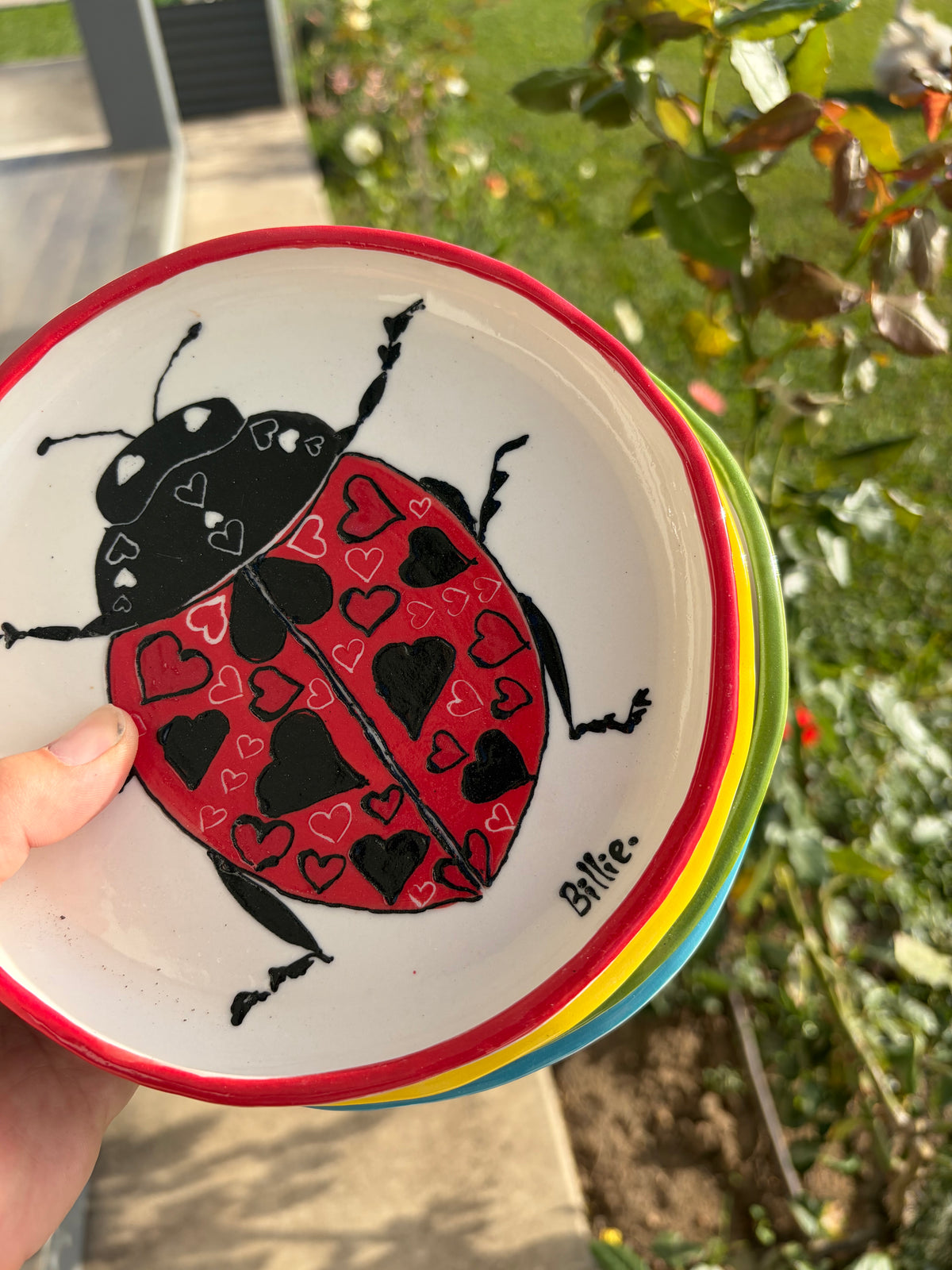Insect plate set - For Angela