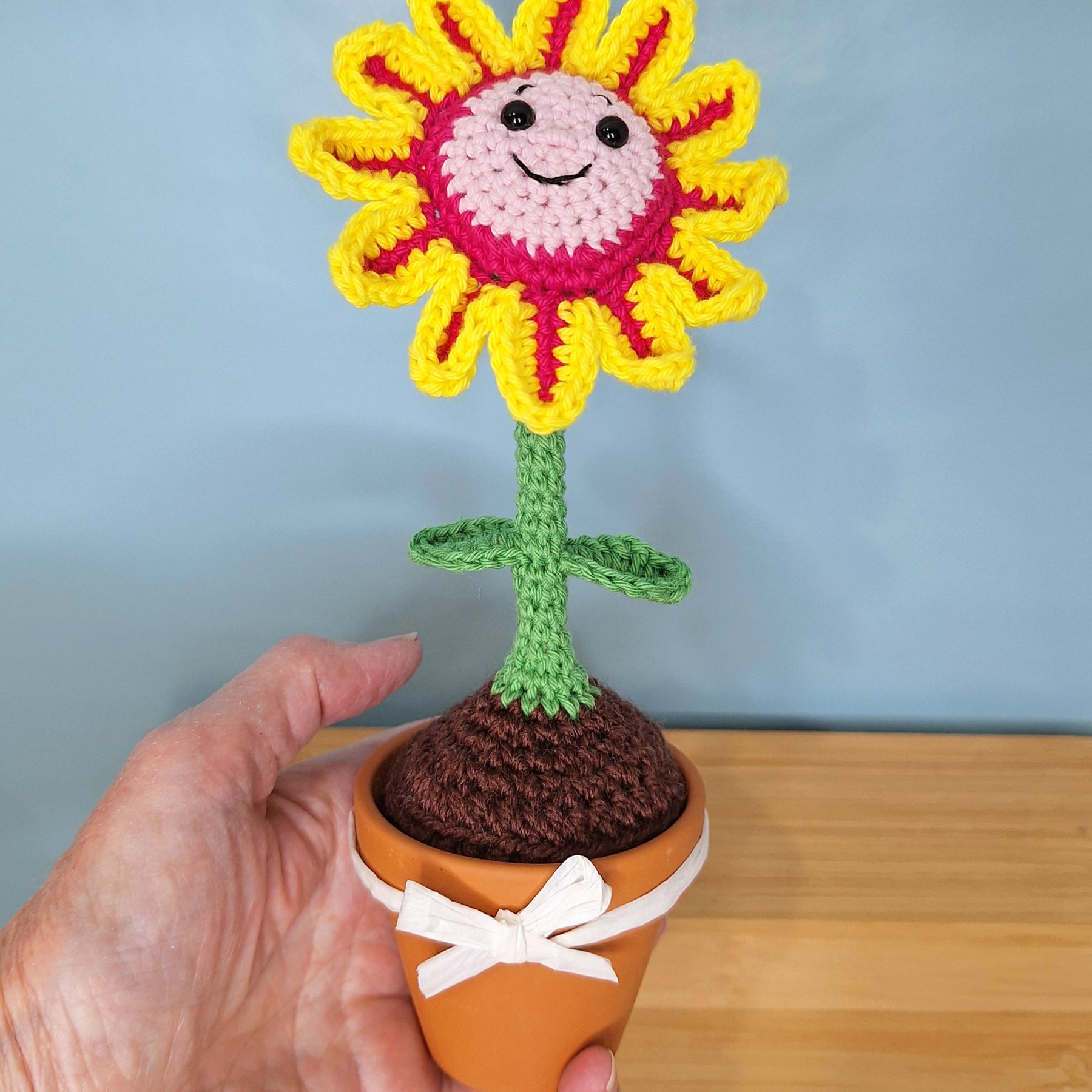 Happy Daisy Crocheted Flower in  Terracotta Pot