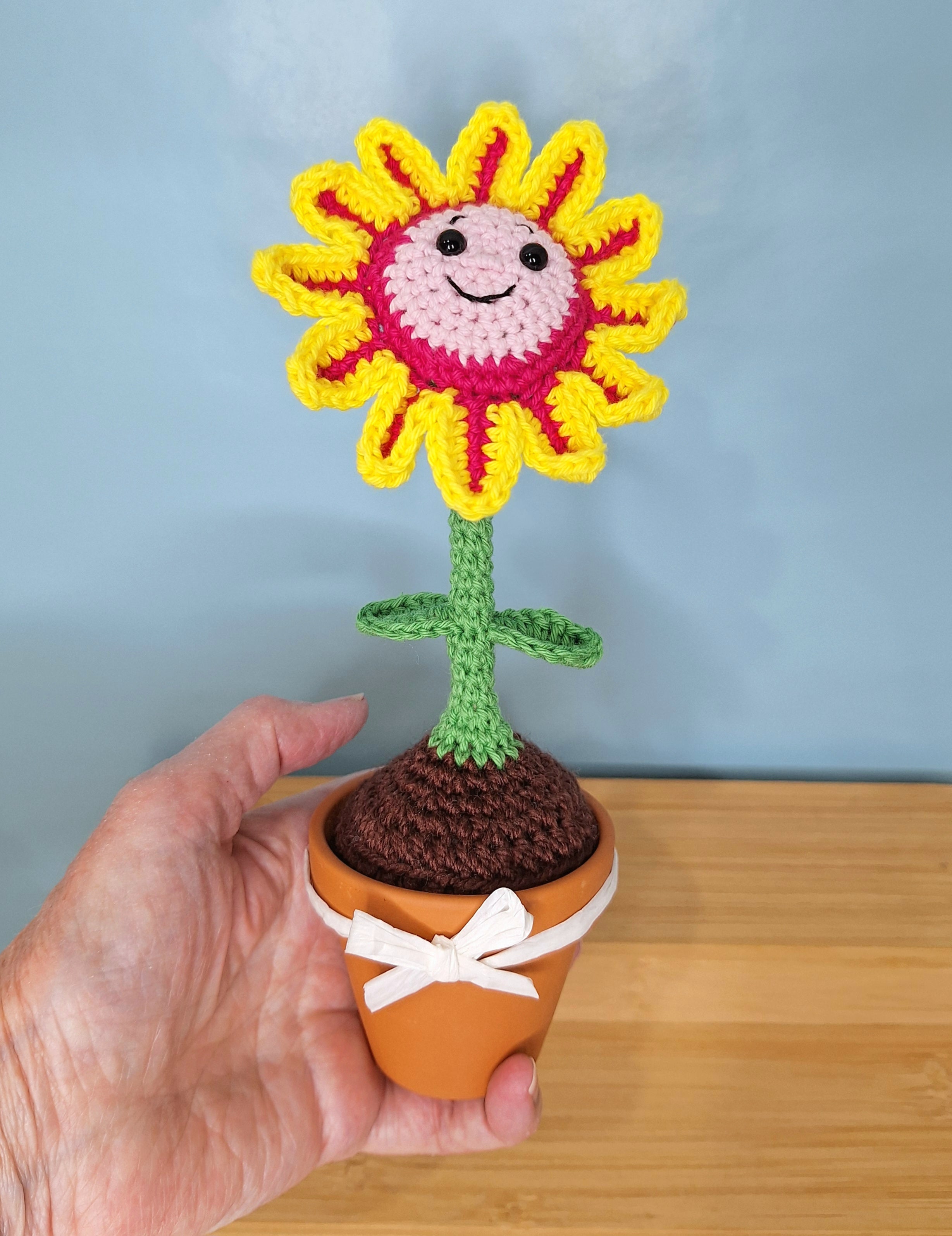 Happy Daisy Crocheted Flower in  Terracotta Pot