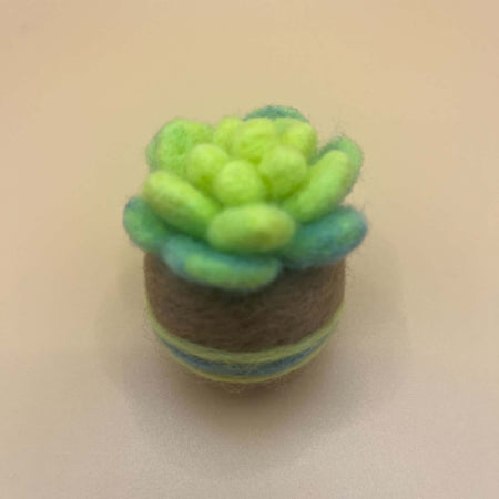 Needle felted succulent Lovely Rose