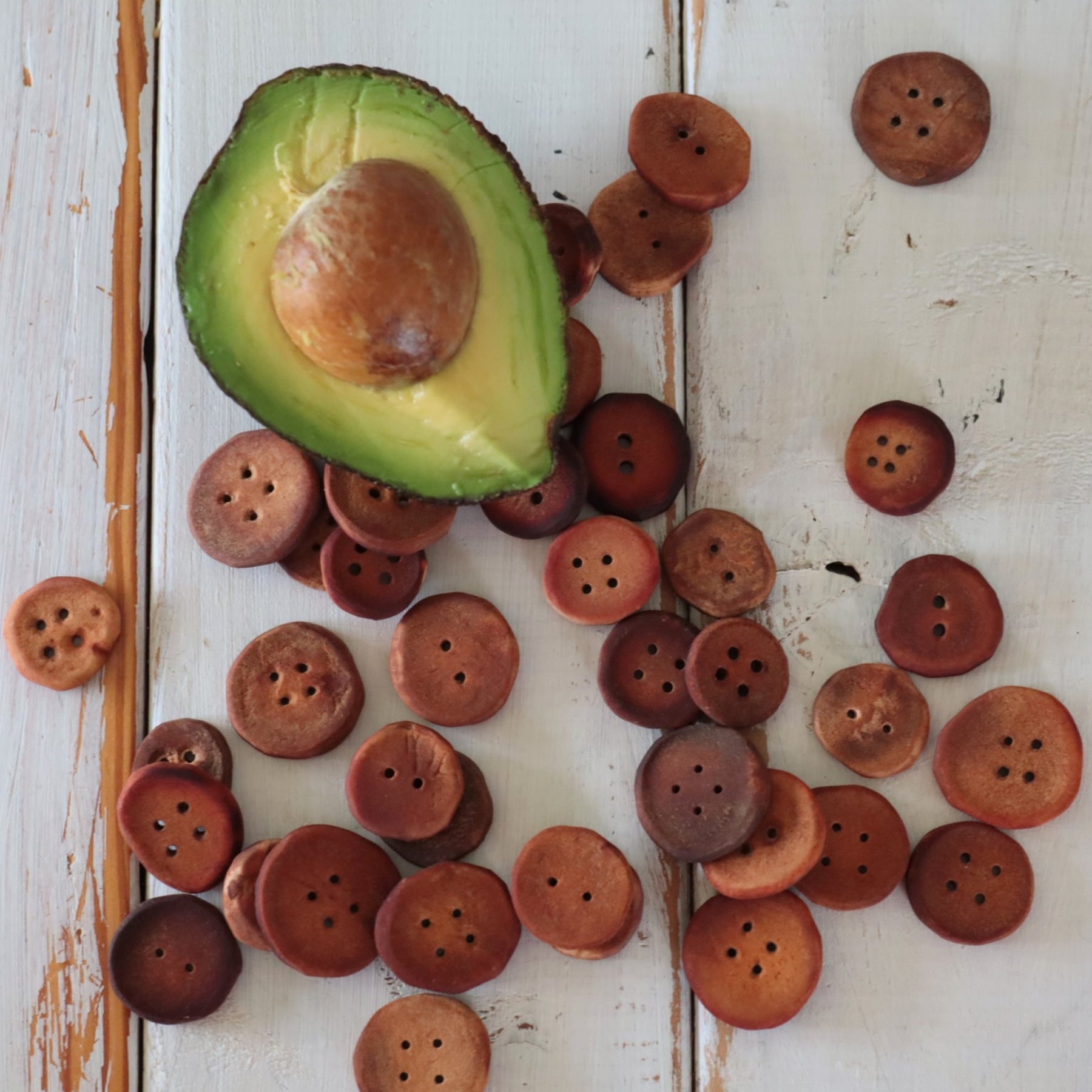 Hand carved Avocado pit Buttons. 5 to 10 Buttons on a card.