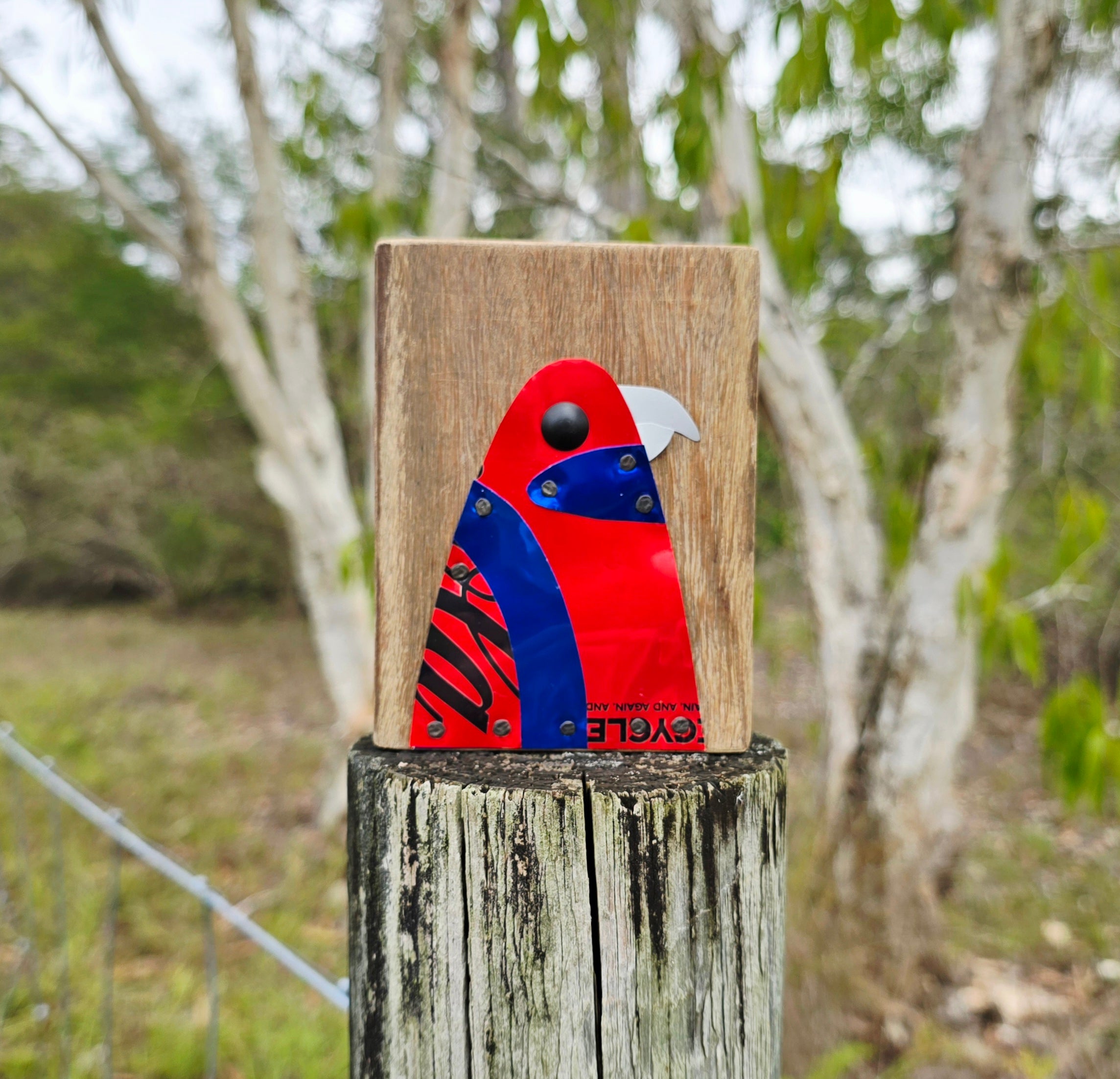BIRD BLOCK - CRIMSON ROSELLA