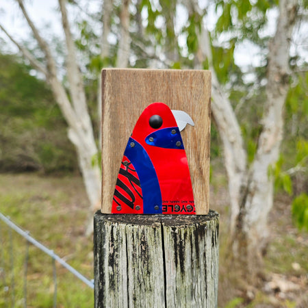 BIRD BLOCK - CRIMSON ROSELLA