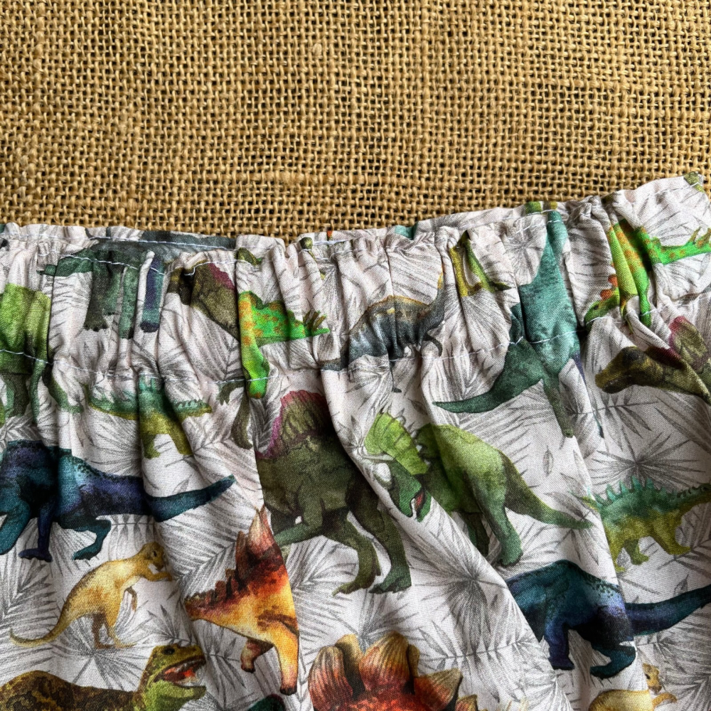 Toddler shorts | dinosaurs 🦕