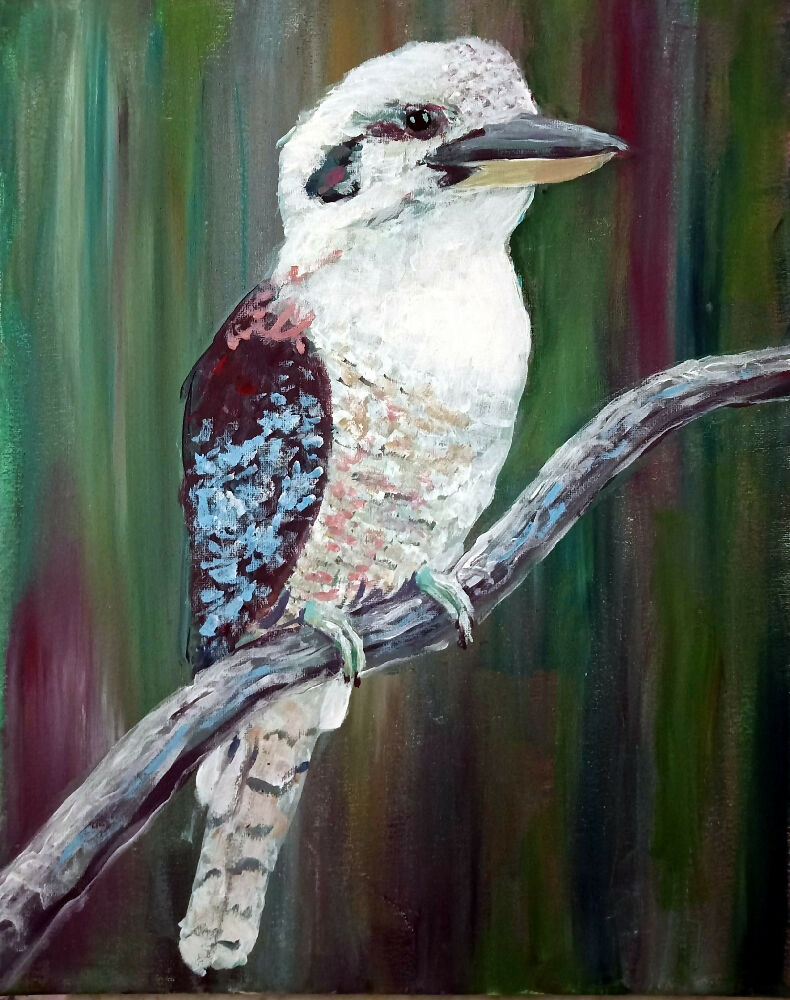 kooka