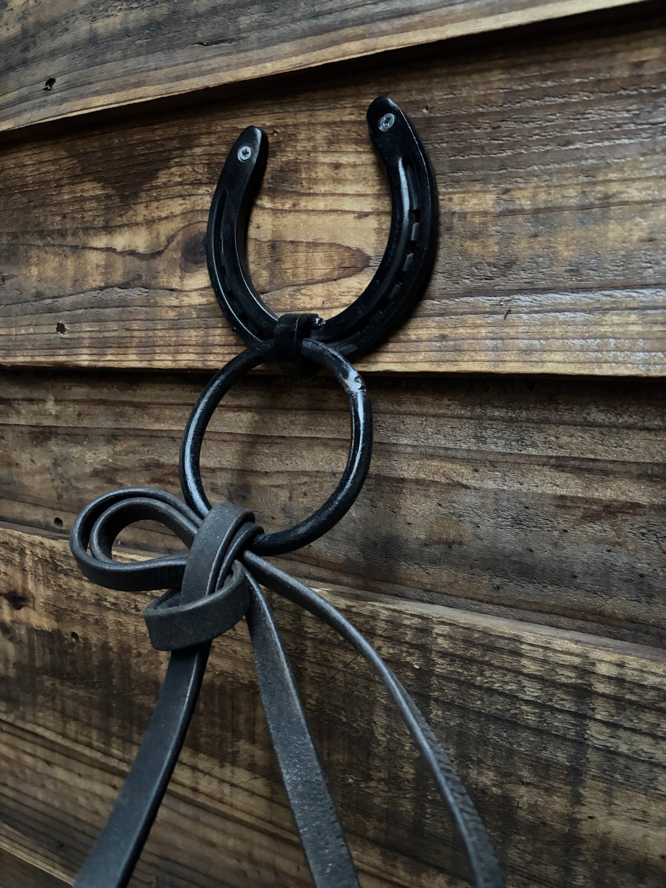 Horsehoe Hitching Ring Free Shipping