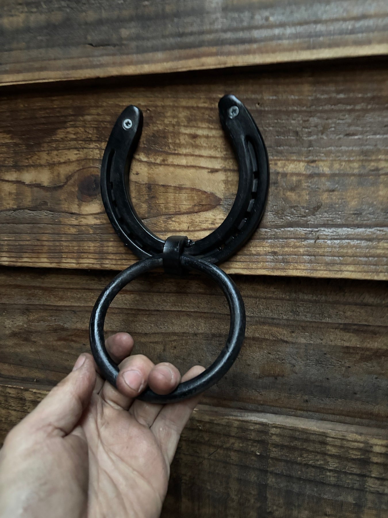 Horsehoe Hitching Ring Free Shipping