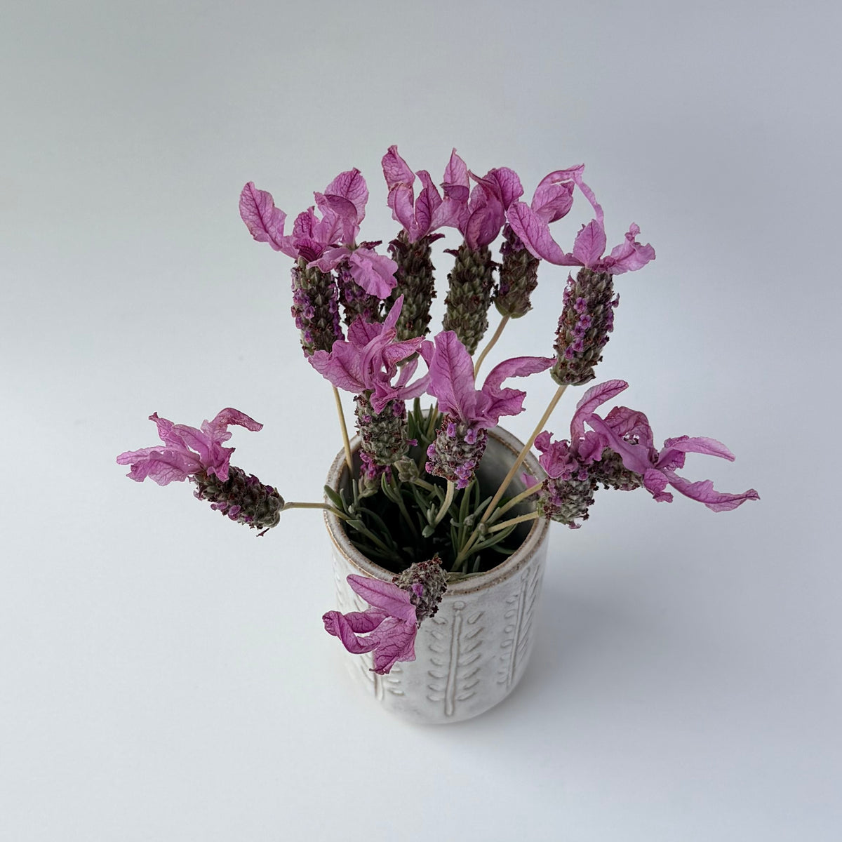 Handmade Ceramic Vase - Textured Off-White