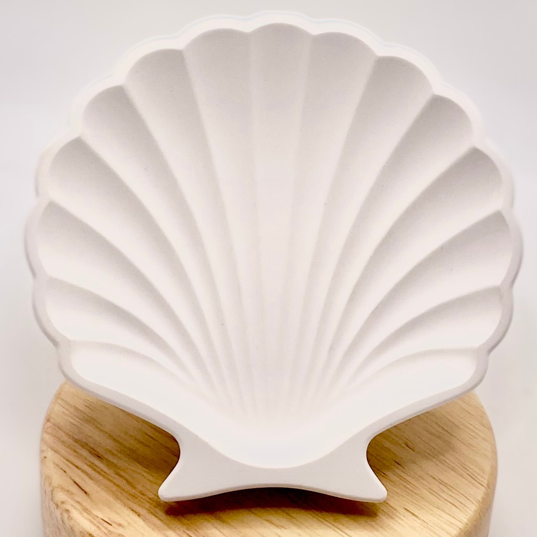 Shell dish | Colour decor collection