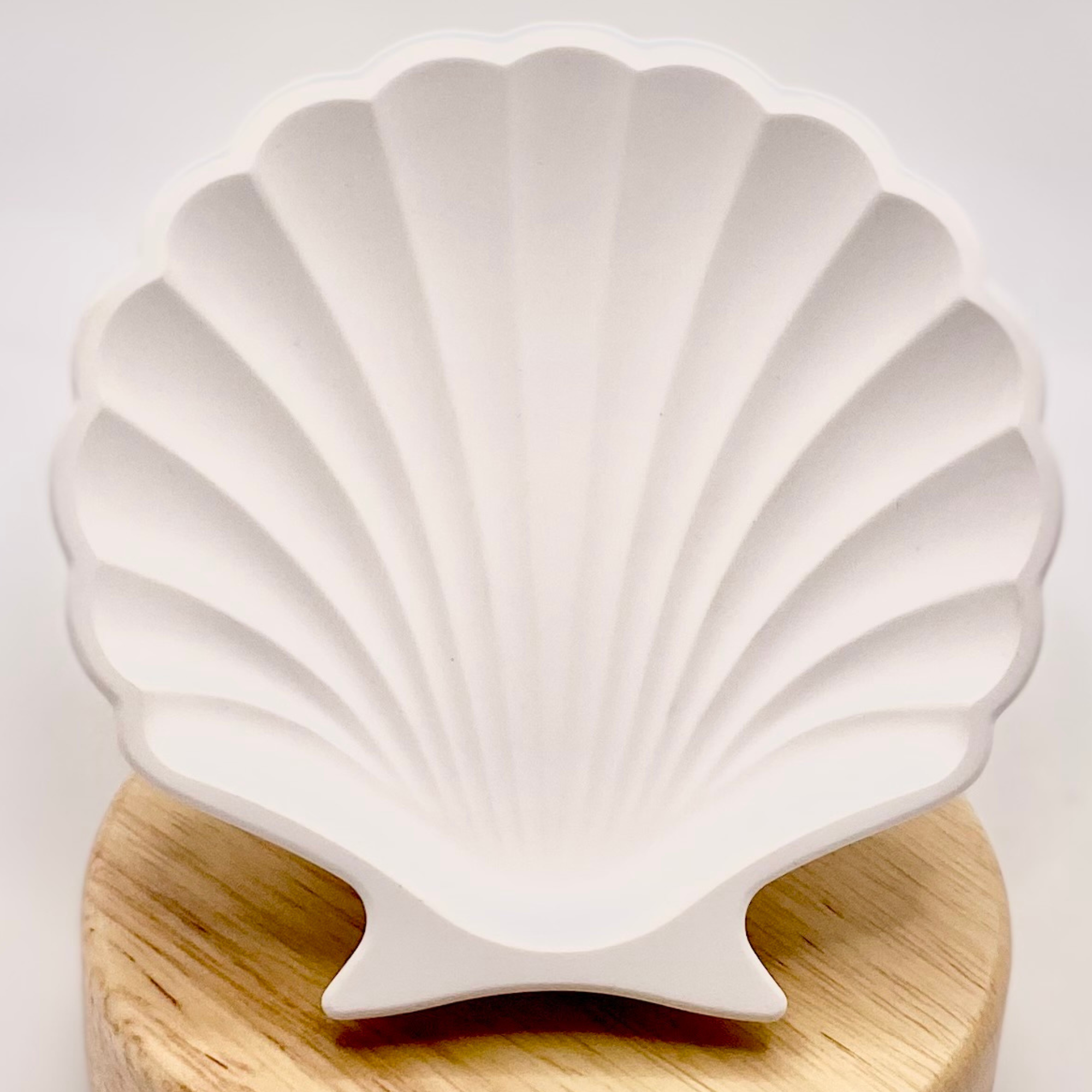 Shell dish | Colour decor collection