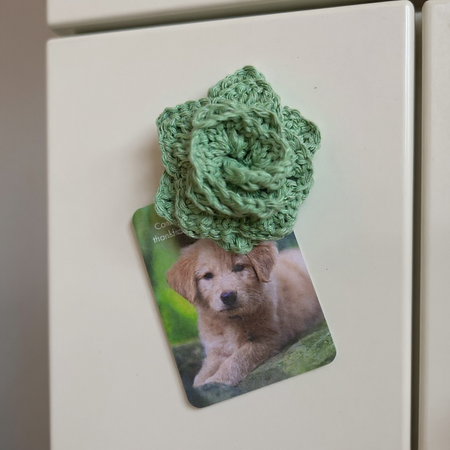 Crochet Succulent Magnets – Handmade Cotton Plant Magnet – Fridge & Office Decor – Australian Gift