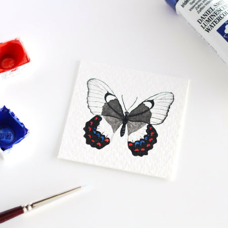 Orchard Swallowtail Butterfly Miniature Watercolour Painting