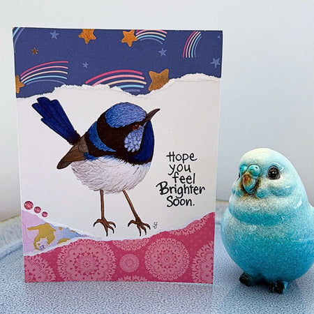 Superb fairy wren 