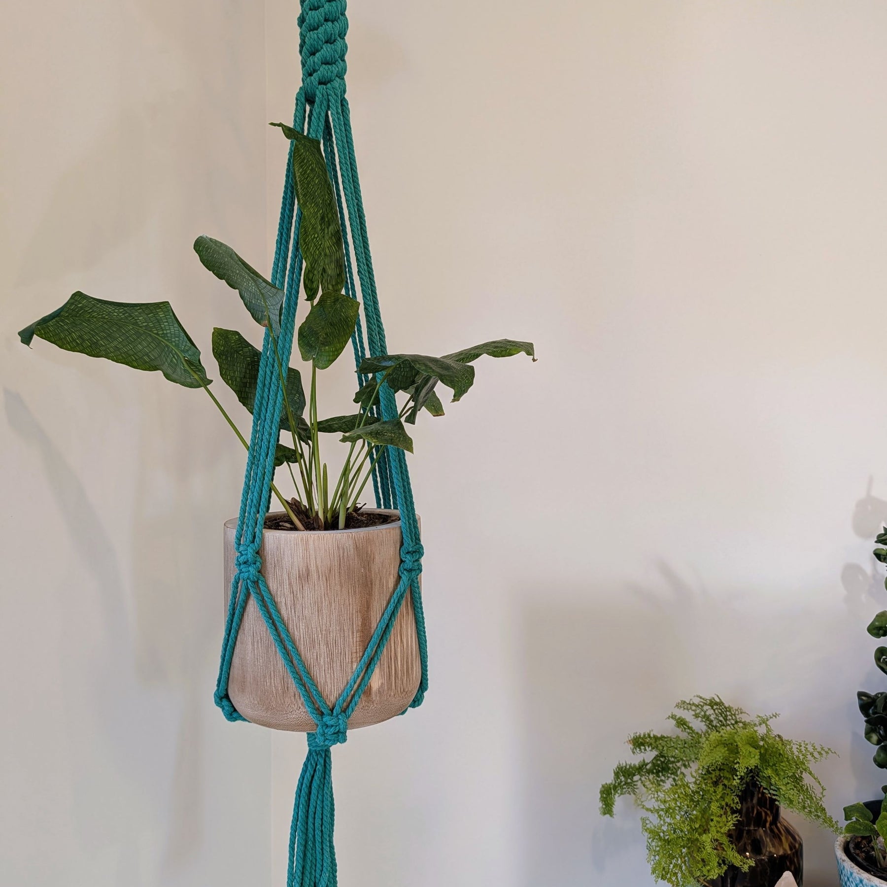 Macrame Plant Hanger - KIRALYNO