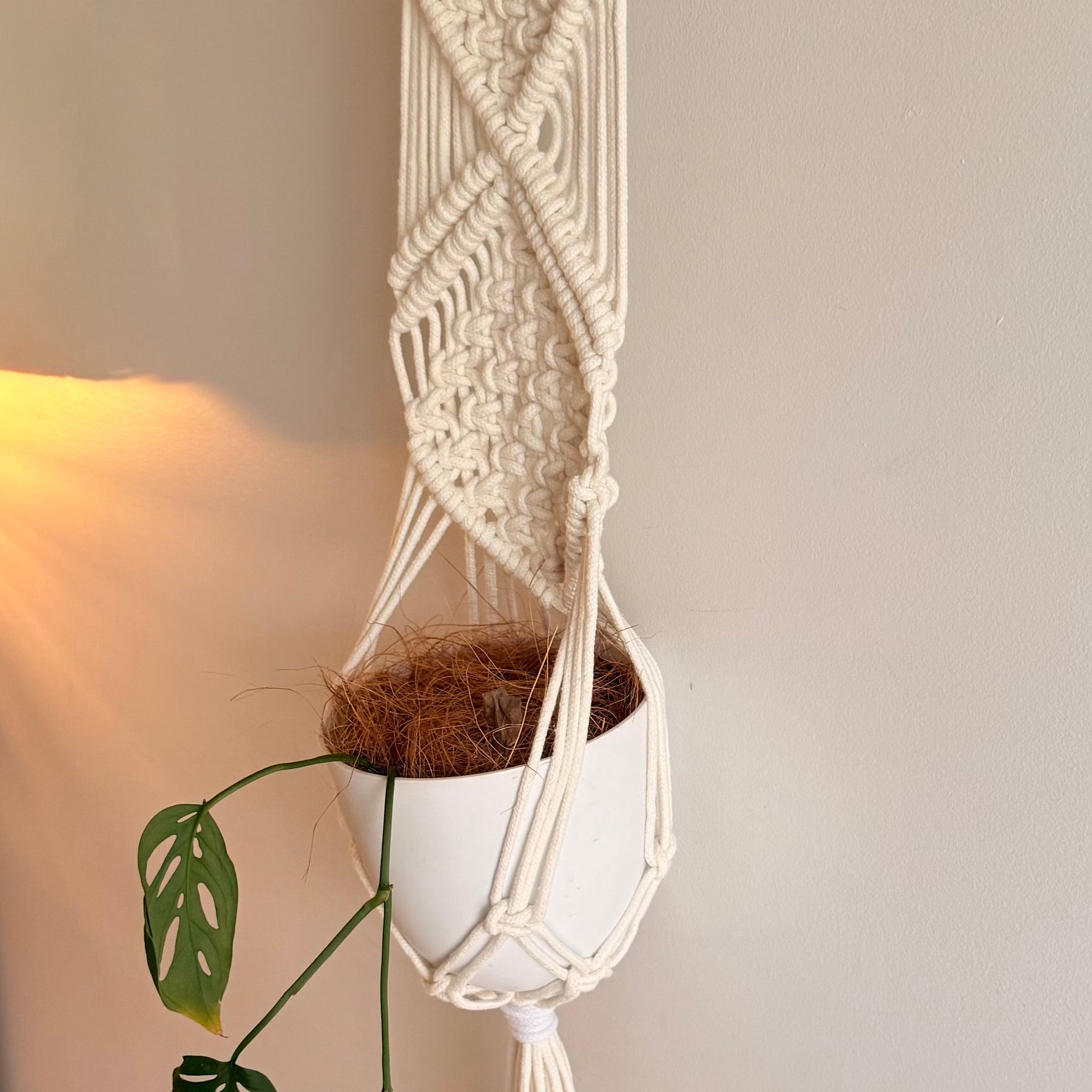 Handmade White Macramé Plant Hanger | Bamboo Ring