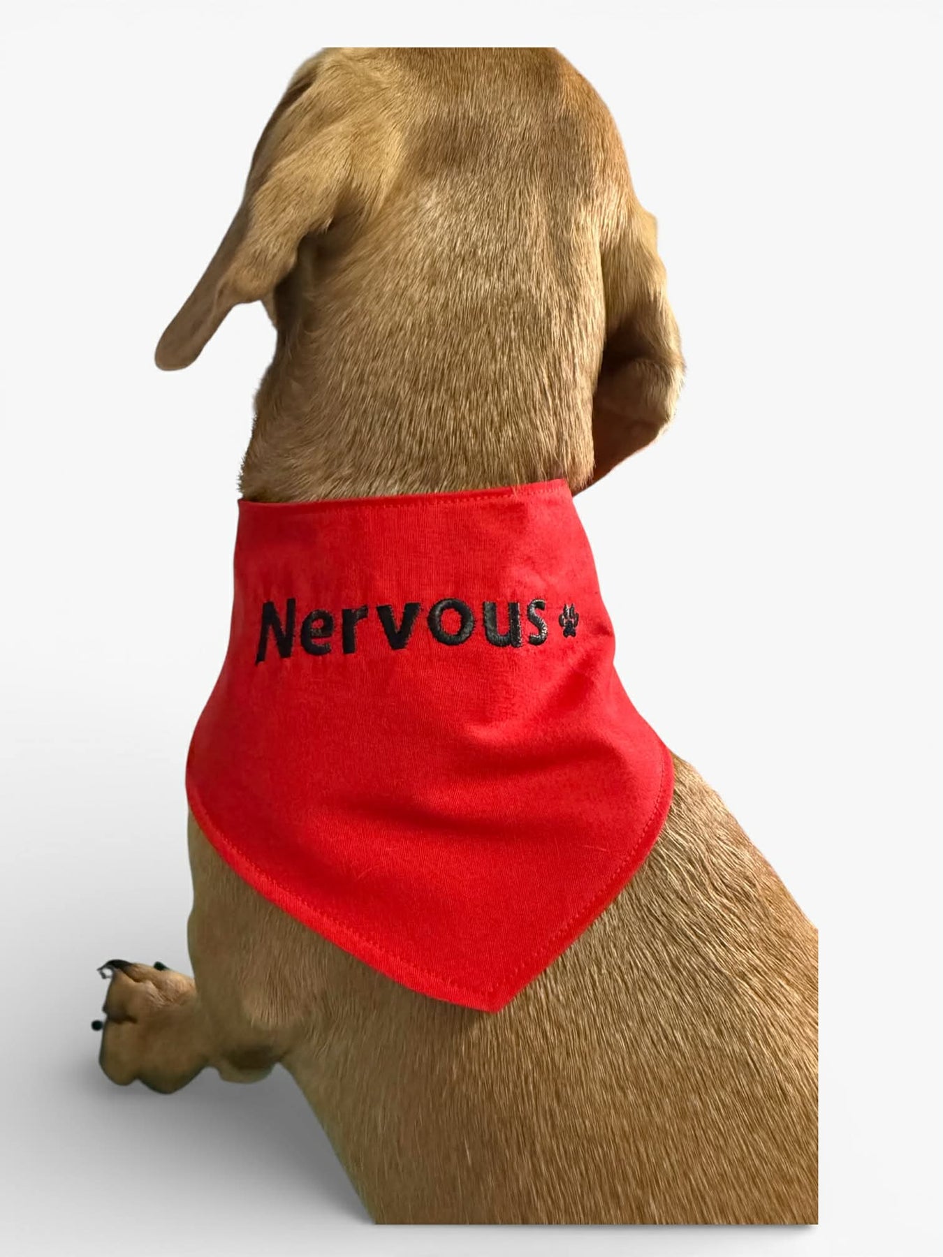 Dog or Dachshund personalized warning Bandanas, colour coded behavior medical indicators