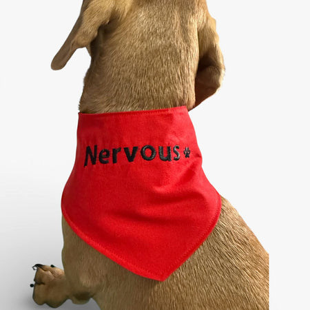 Dog or Dachshund personalized warning Bandanas, colour coded behavior medical indicators