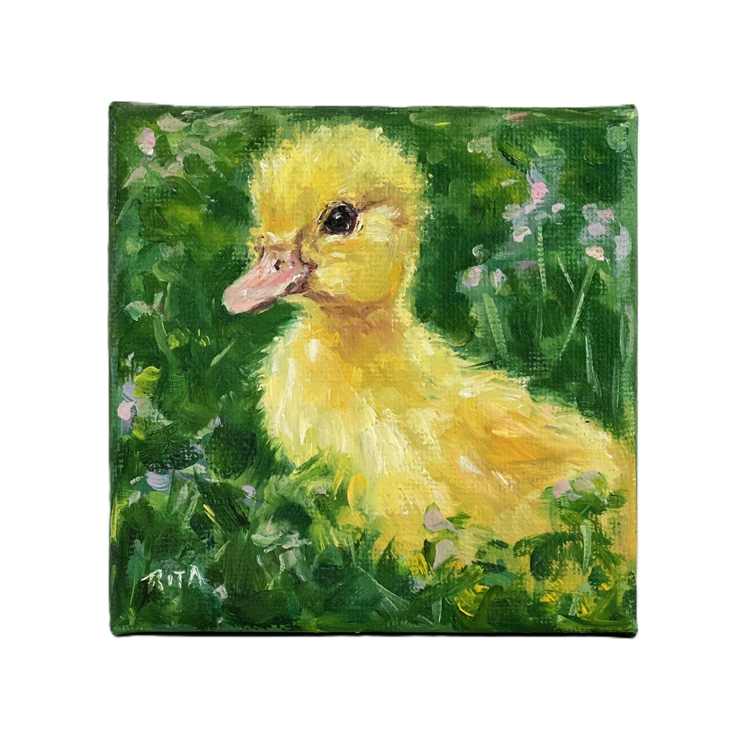 Yellow Duckling – Original Mini Oil Painting