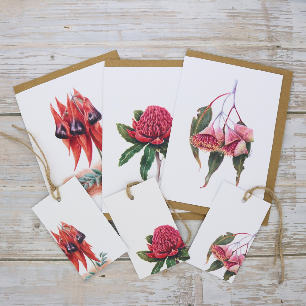 Australian-artist-illustration-greeting-card-gift-pack-native-flowers