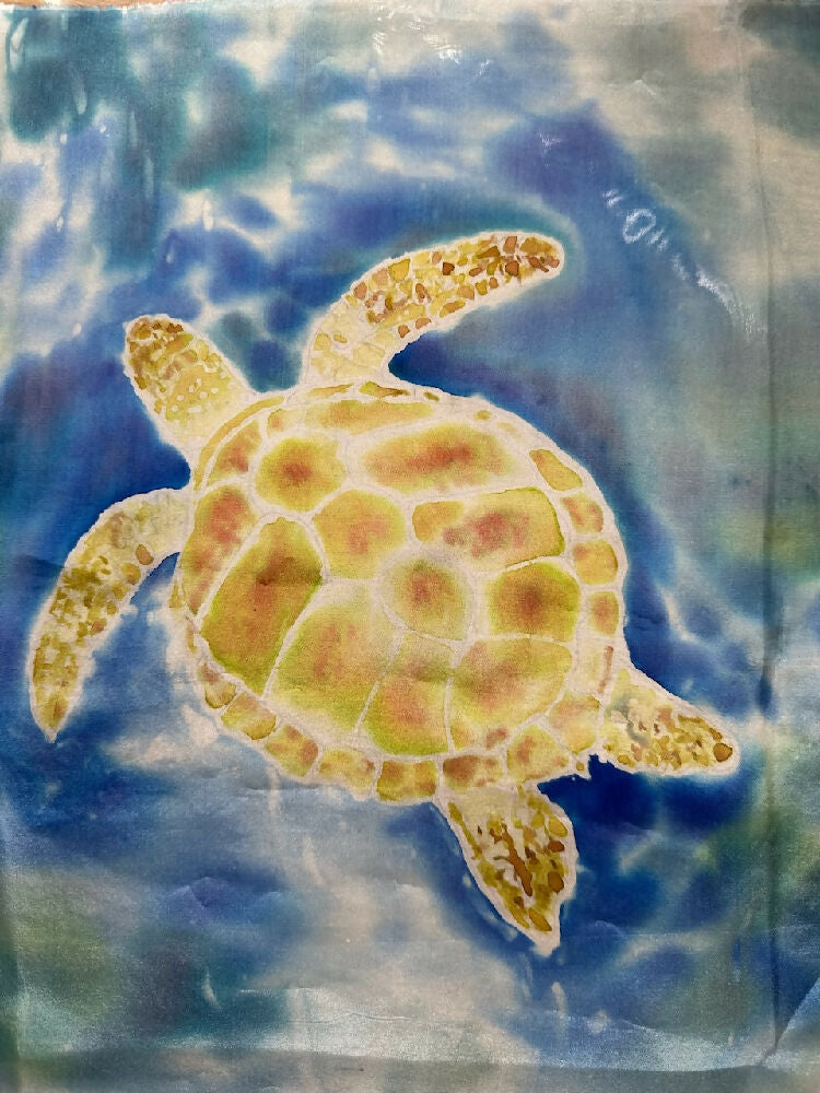 DIY Silk Painting Kit, Paint A Turtle