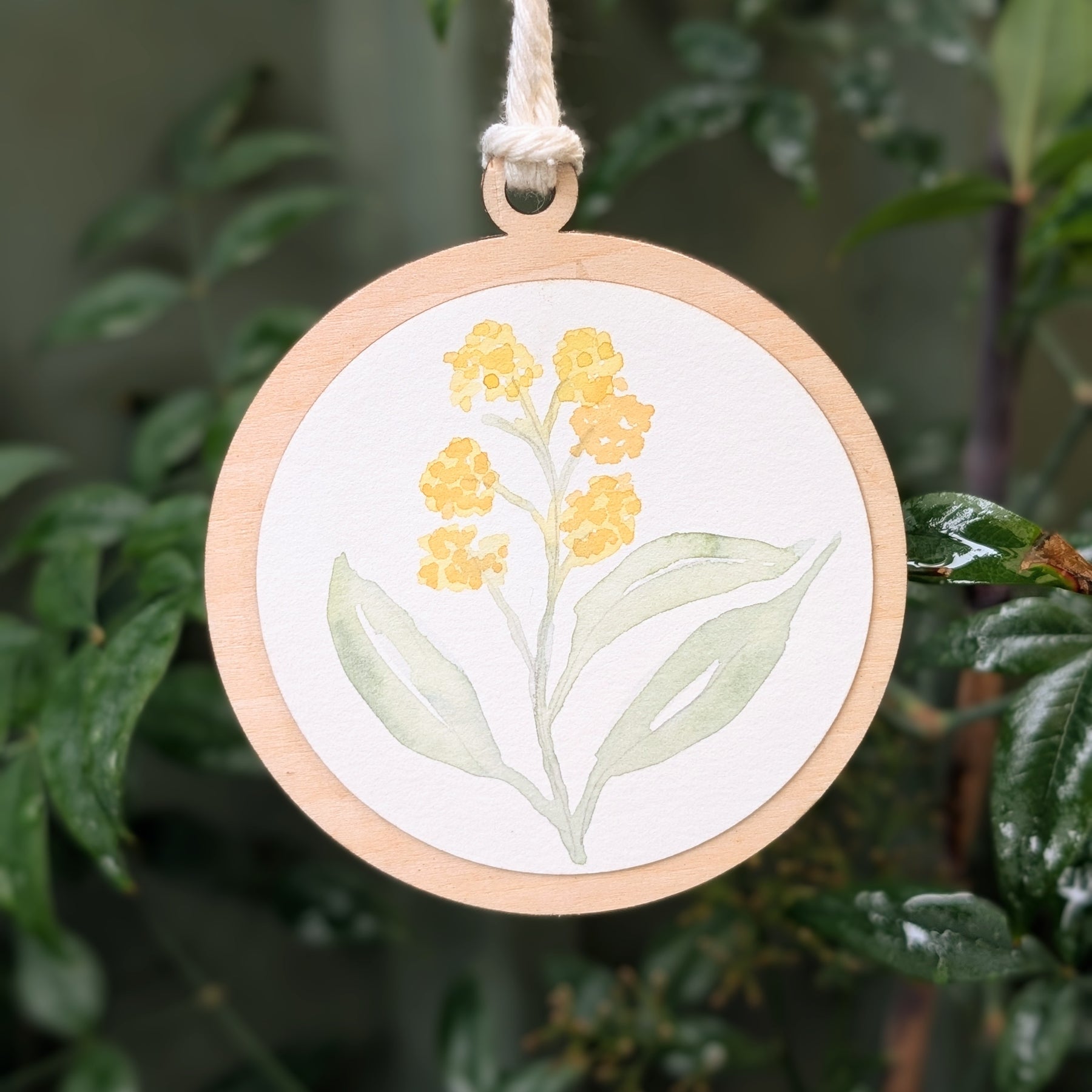 Australian Native Watercolour Christmas Decoration | Handmade Wooden Ornament