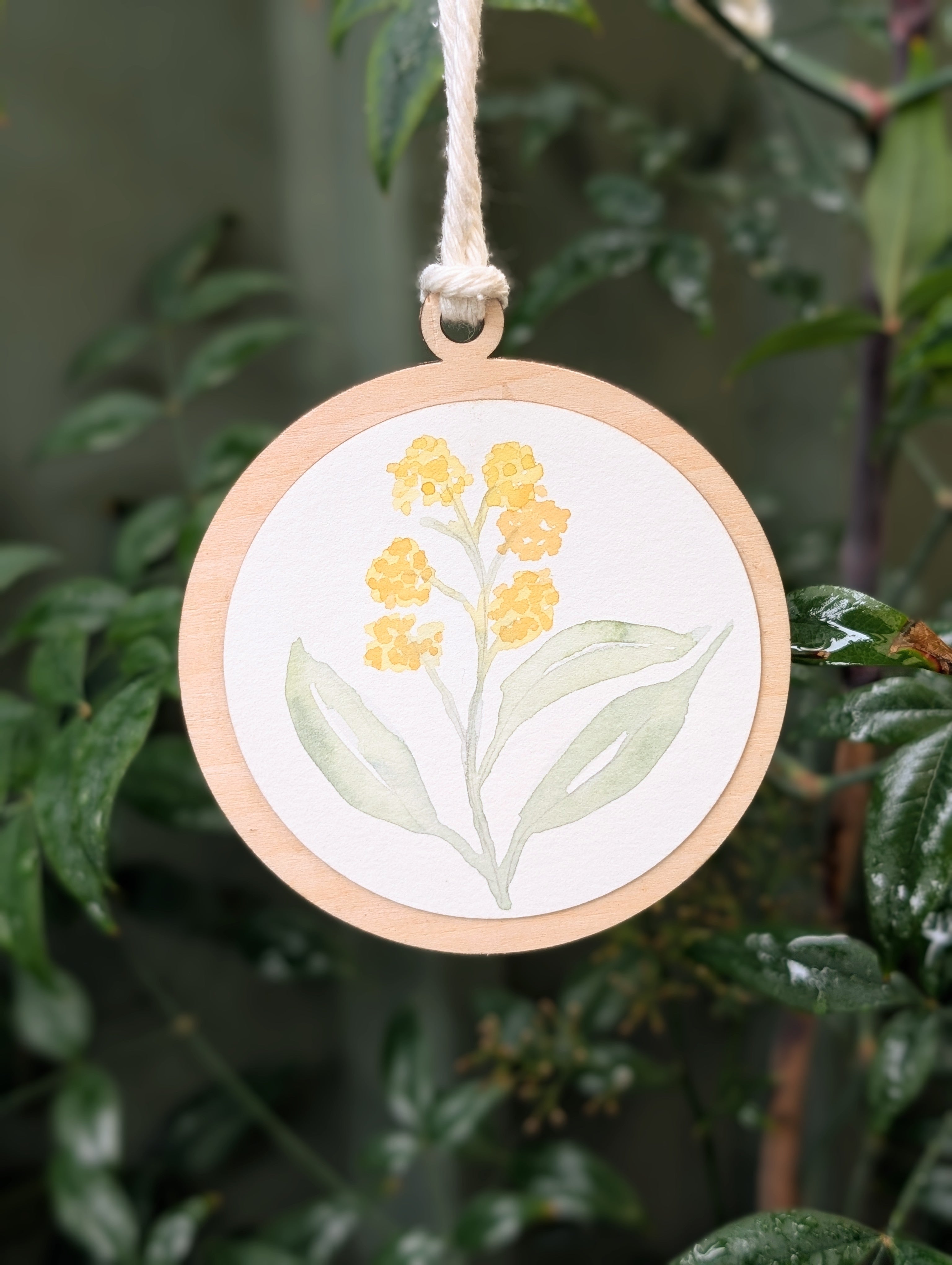 Australian Native Watercolour Christmas Decoration | Handmade Wooden Ornament